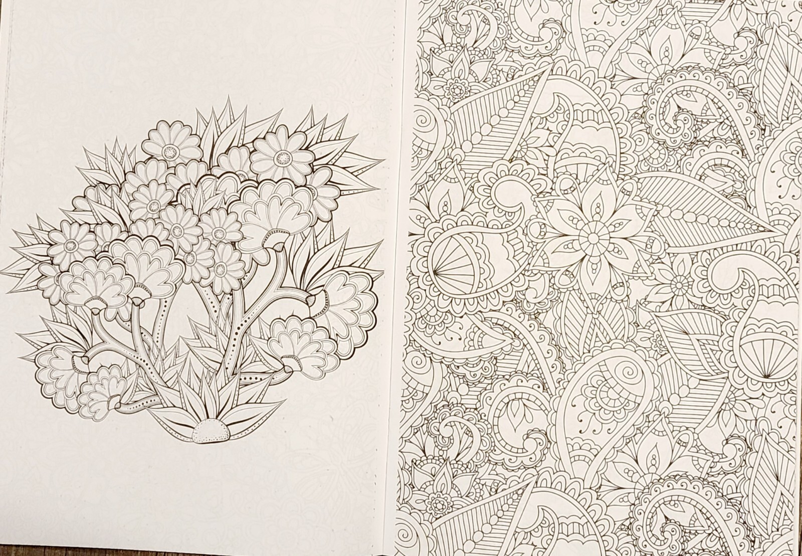 Kick Back & Color to Music Set of 2 Floral and Patterns NEW