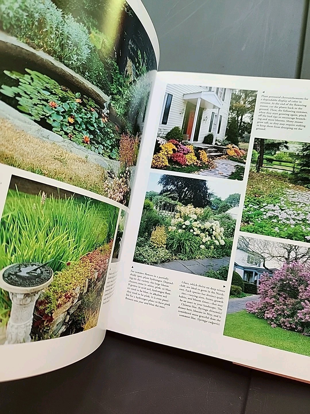 550 Home Landscaping Ideas by Catriona T. Erler. Hardcover 1991