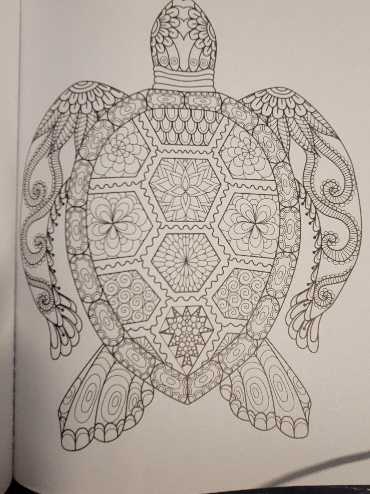 COLOR ME MAGNIFICENT Vol 12 Adult Coloring Book With 47 Prints Ready To Frame