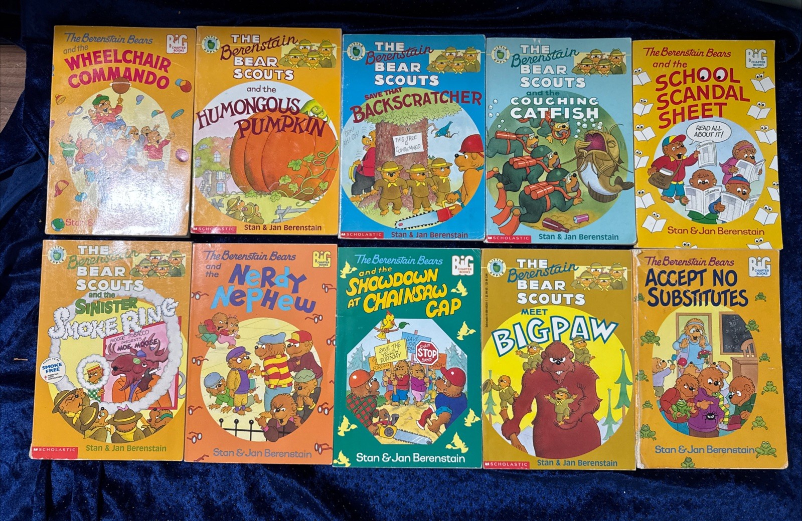 Lot of 10 The Berenstain Bears BIG Chapter Books By Stan & Jan Berenstain