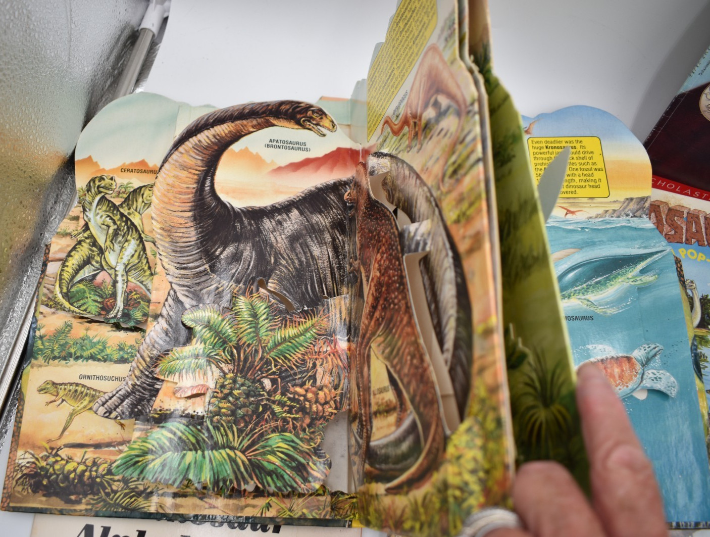 Lot of Dinosaurs Educational Children’s Books Popups, Golden, Blue Ribbon,+ More