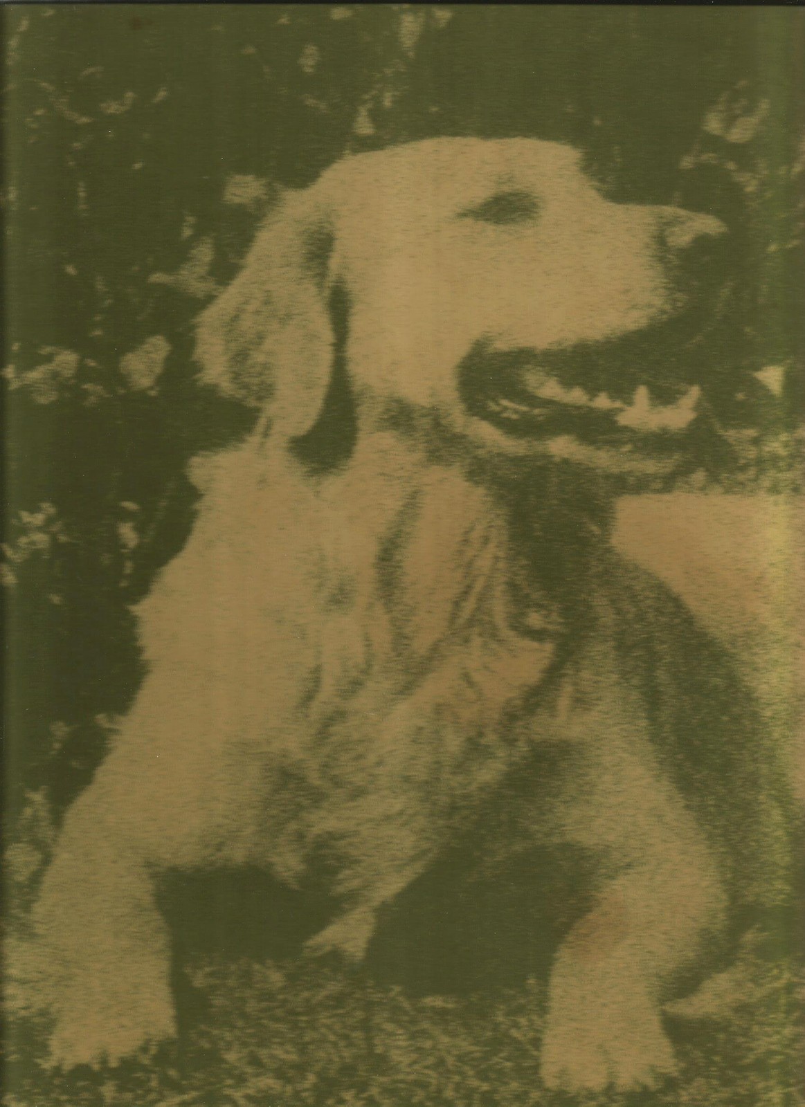 “All Color World of Dogs” by David Squire (1978) Large Hardcover