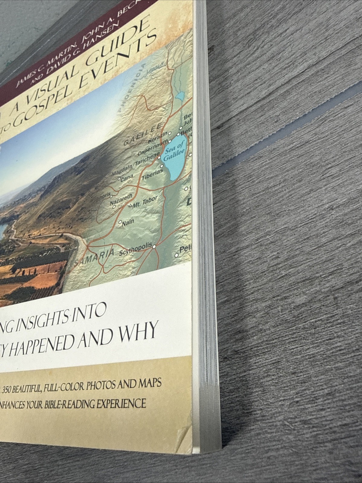A VISUAL GUIDE TO GOSPEL EVENTS: FASCINATING INSIGHTS INTO By James C. Martin