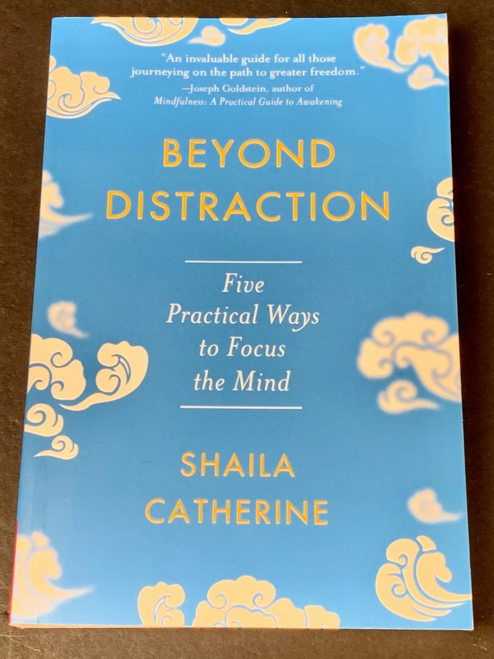 Mindfulness Meditation – Lot of 4 – Jon Kabat-Zinn, “Buddha’ Brain” – Softcover