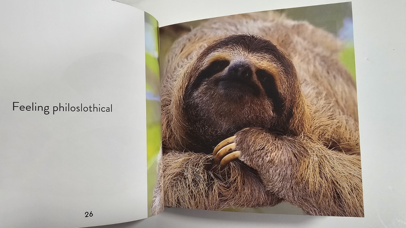 Animal Puns: Quack Me Up by Publications International Ltd, Hardcover, New