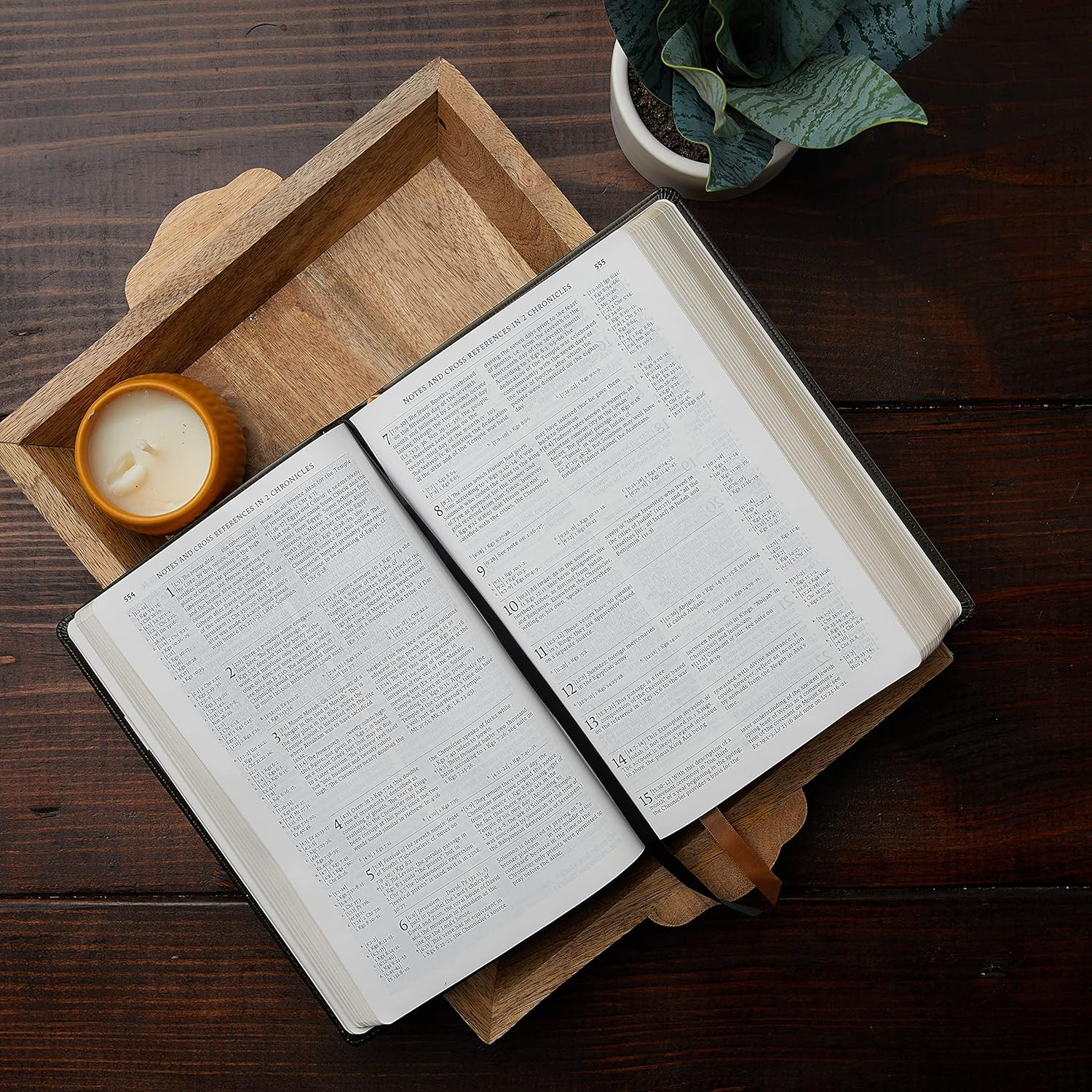 NABRE, New American Bible, Revised Edition, Catholic Bible, Large Print Edition,