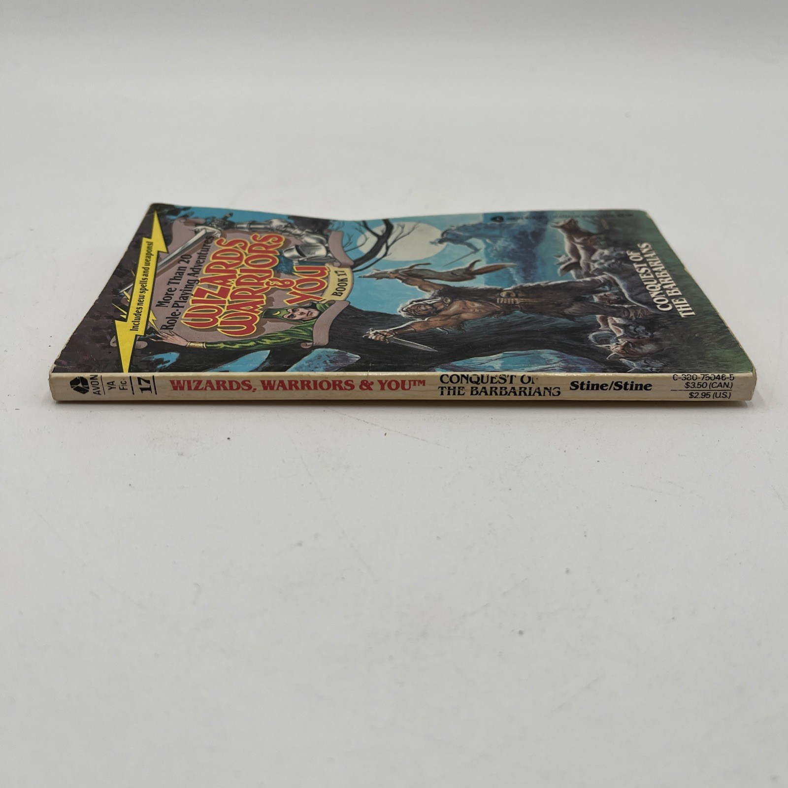 Wizards Warriors & You Book 17 Adventure Paperback Conquest Of The Barbarians