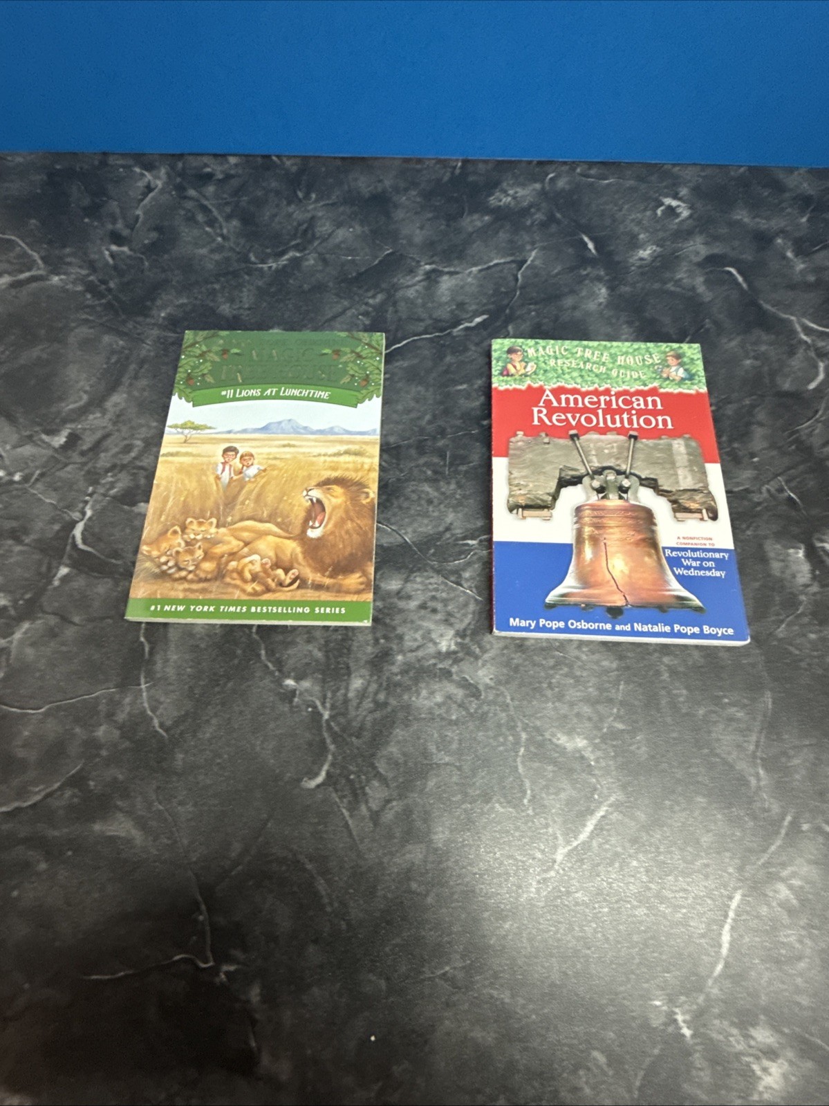 Magic Tree House 11 Book Collection