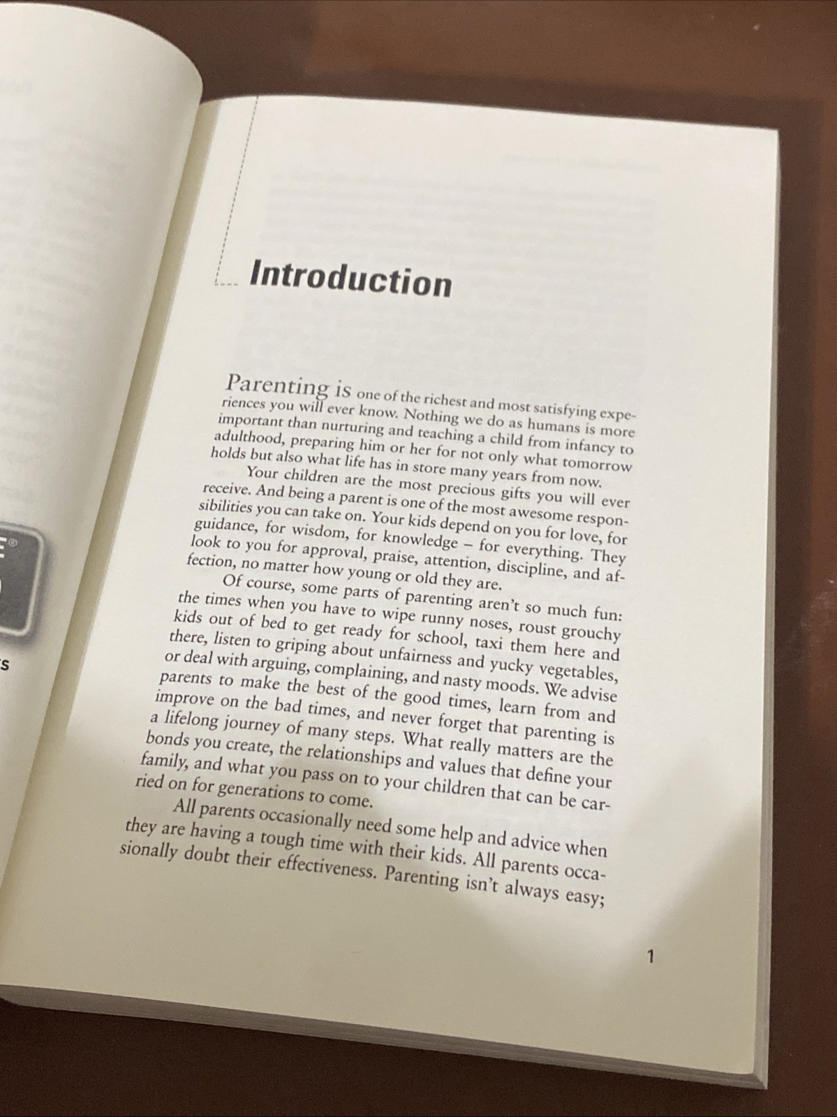 Common Sense Parenting by Ray Burke, Ron Herron and Bridget A. Barnes (2006)