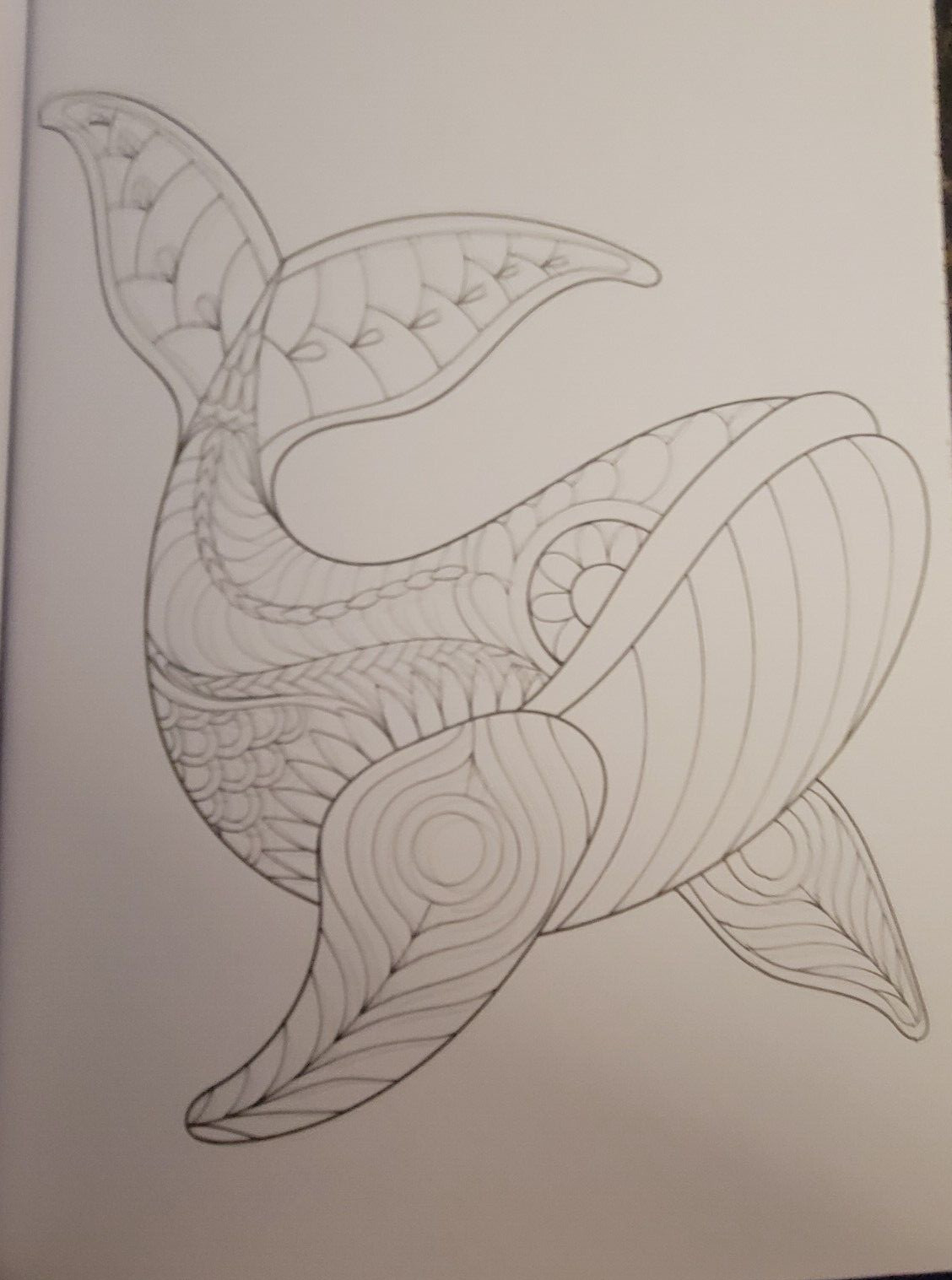 COLORS OF THE WILD Vol 22 Adult Coloring Book With 47 Prints Ready To Frame