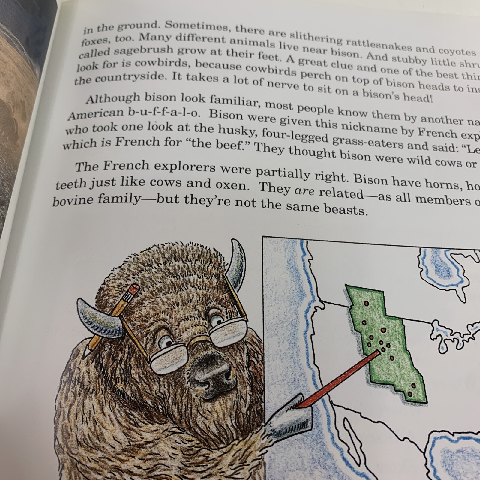 Wildlife for Kids Ser.: Bison for Kids by Todd Wilkinson (1994, Trade Paperback)