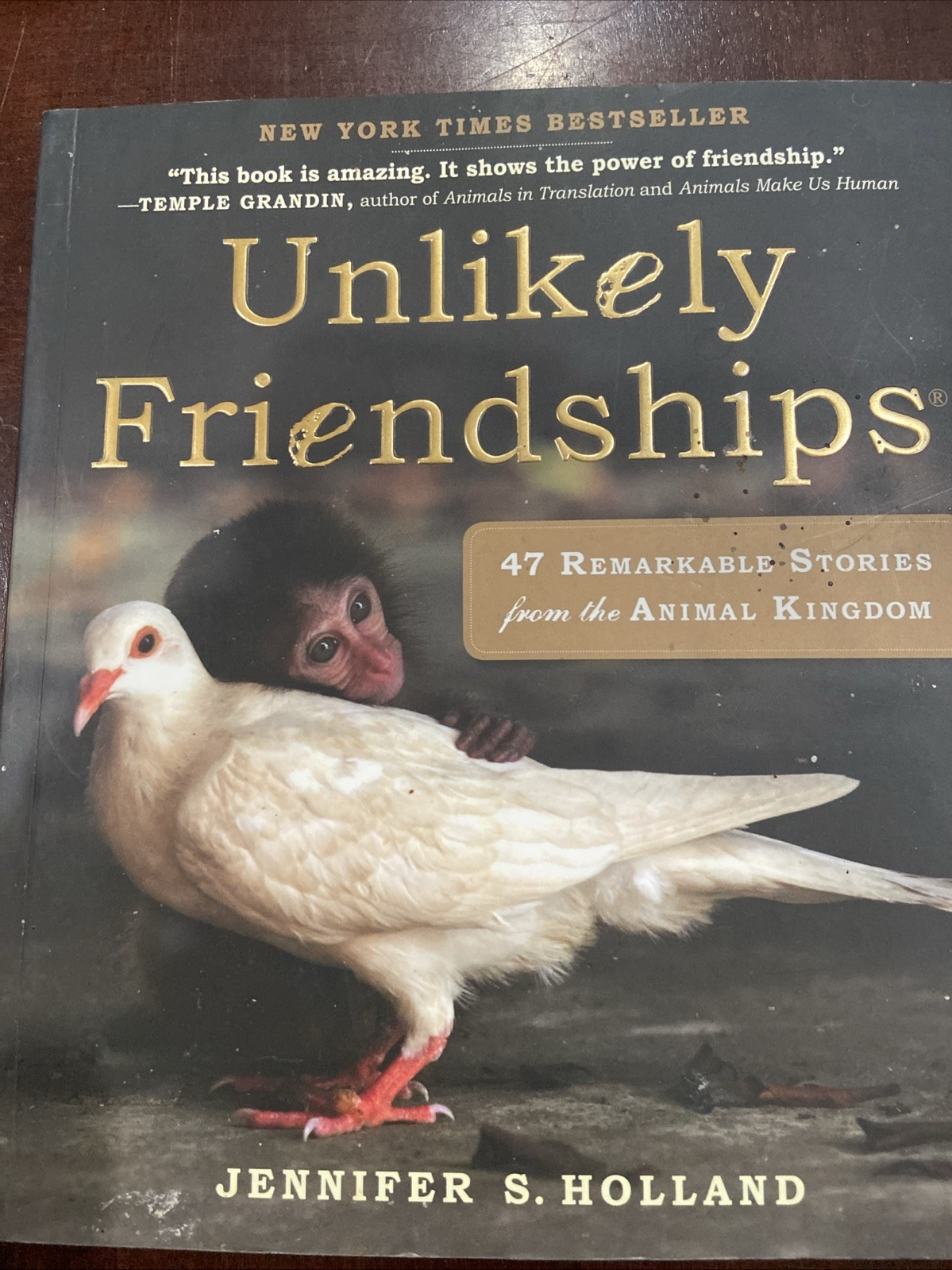 “Unlikely Friendships “ Jennifer S.Holland