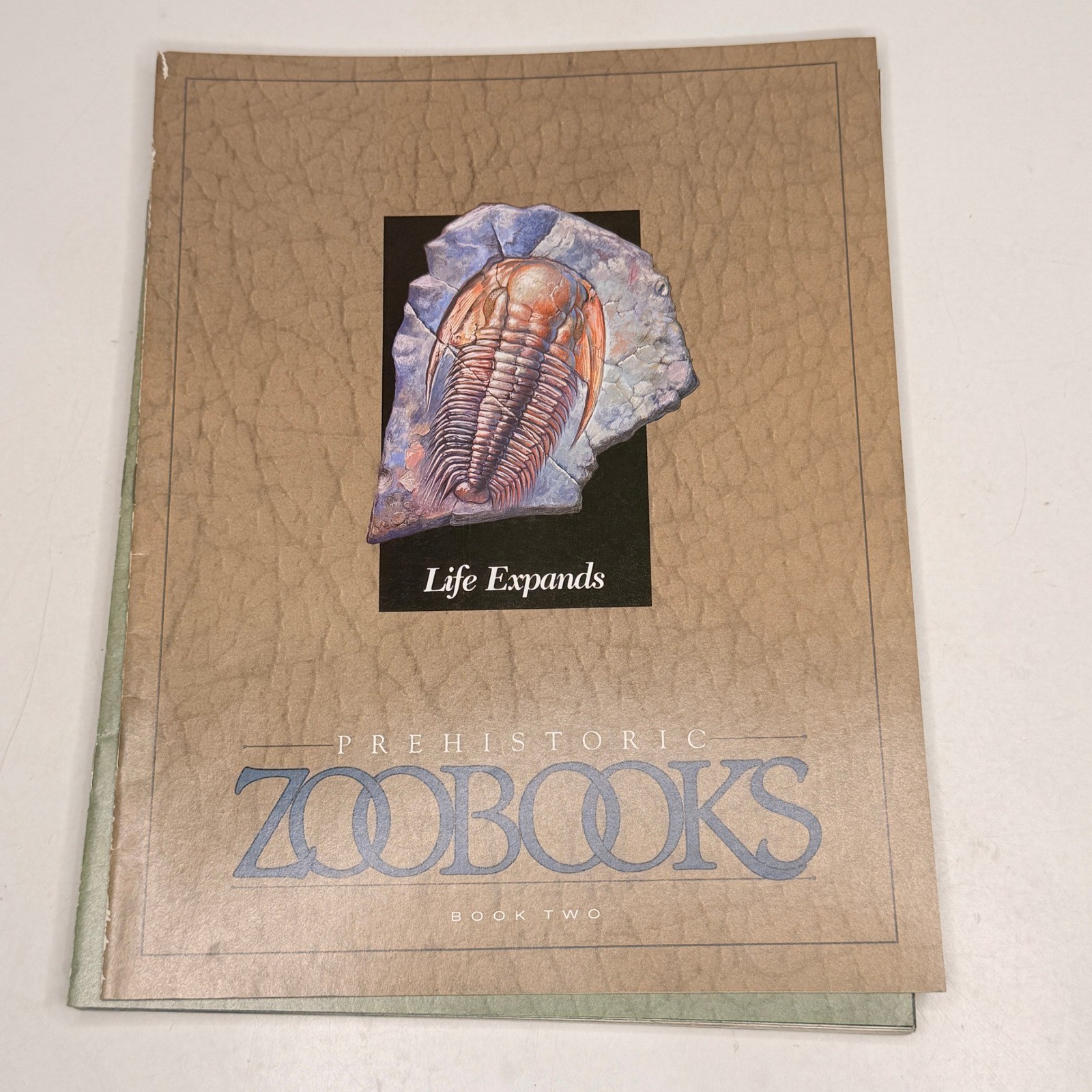 Prehistoric ZOOBOOKS 1989 First Edition Family Guide Case Book Set 1-10 Poster
