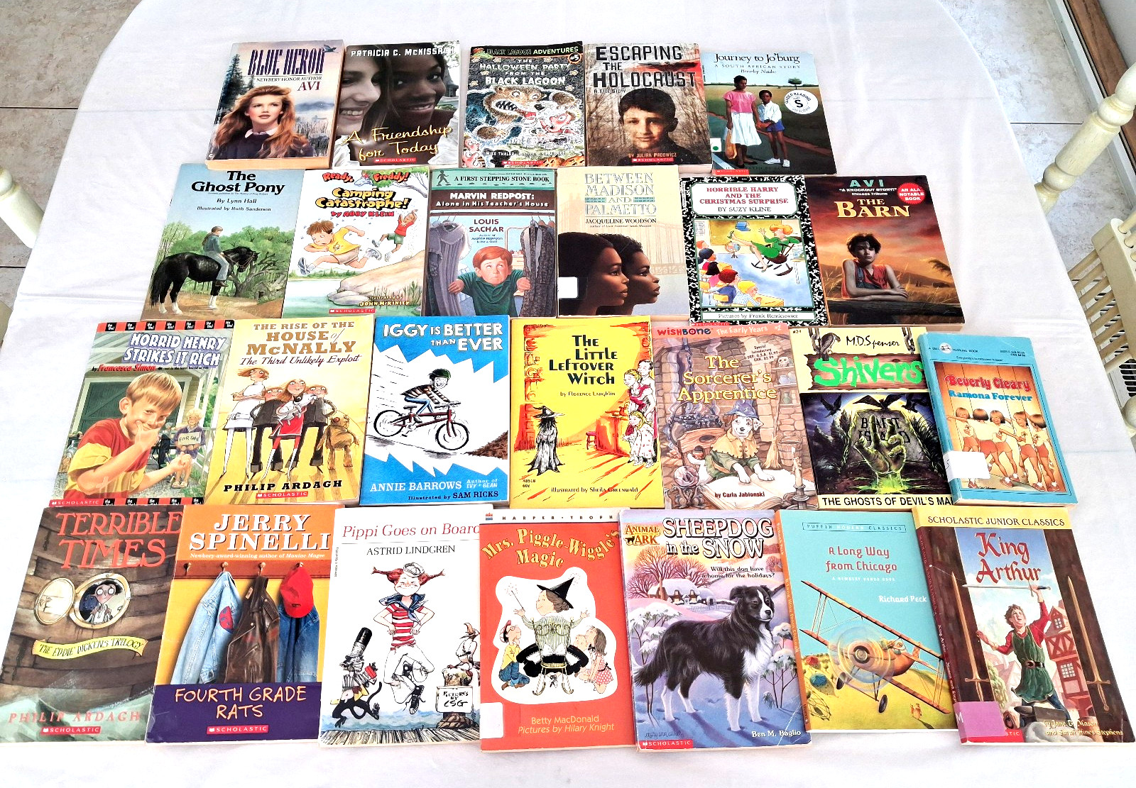 25 Childrens AR Chapter Books Lot ~ Grades 3, 4, 5 ~ Ages 8-12 ~ FREE SHIP