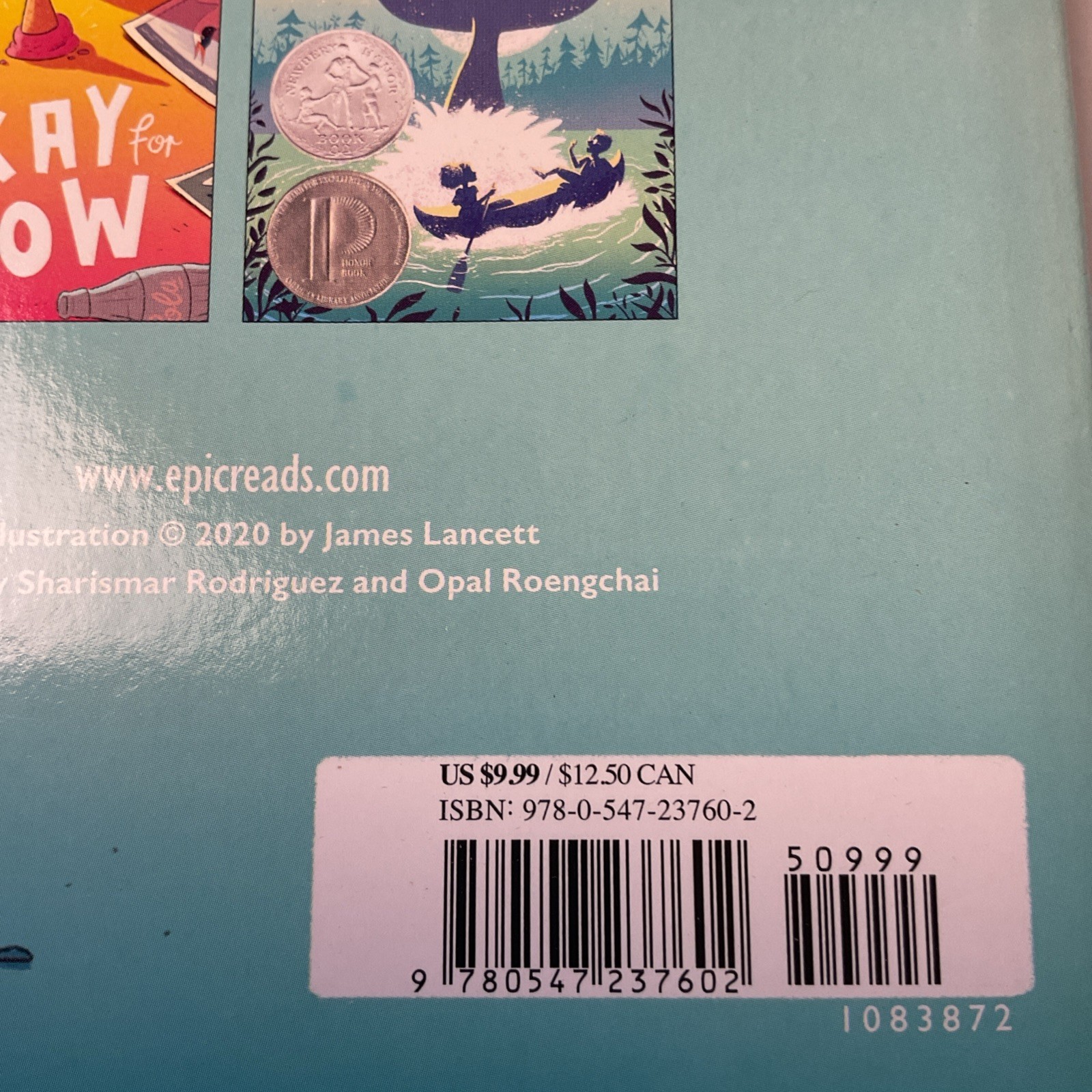 The Wednesday Wars : A Newbery Honor Award Winner by Gary D. Schmidt (2009)