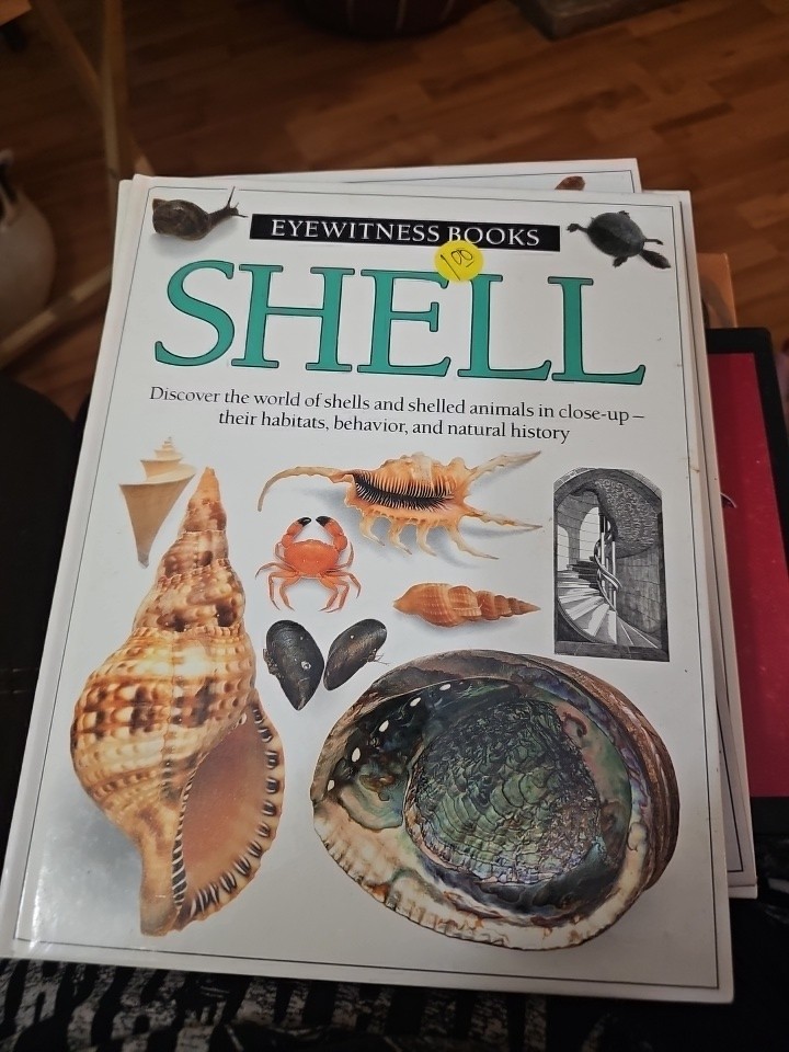 Lot of 3 Eyewitness Science Educational Books DK Books Shell,Tree, Bird