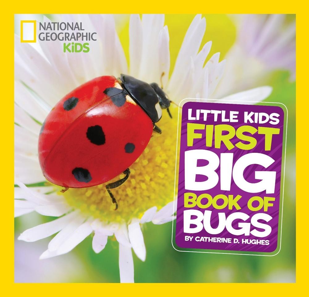 National Geographic Little Kids First Big Book of Bugs by Catherine D. Hughes (E