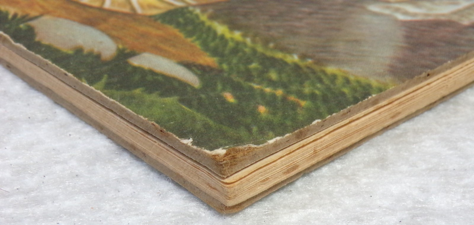 1945 THE BIBLE PICTURE BOOK HARD COVER COLOR ILLUSTRATED BY FLORIAN 48 PAGES