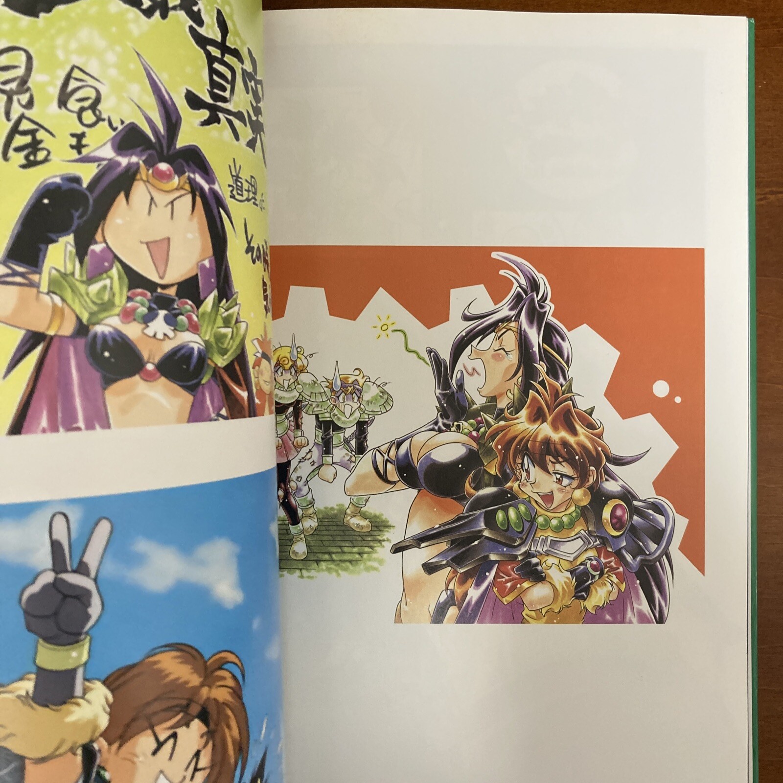 Slayers DRA-MATA Rui Araizumi Art Book Illustration