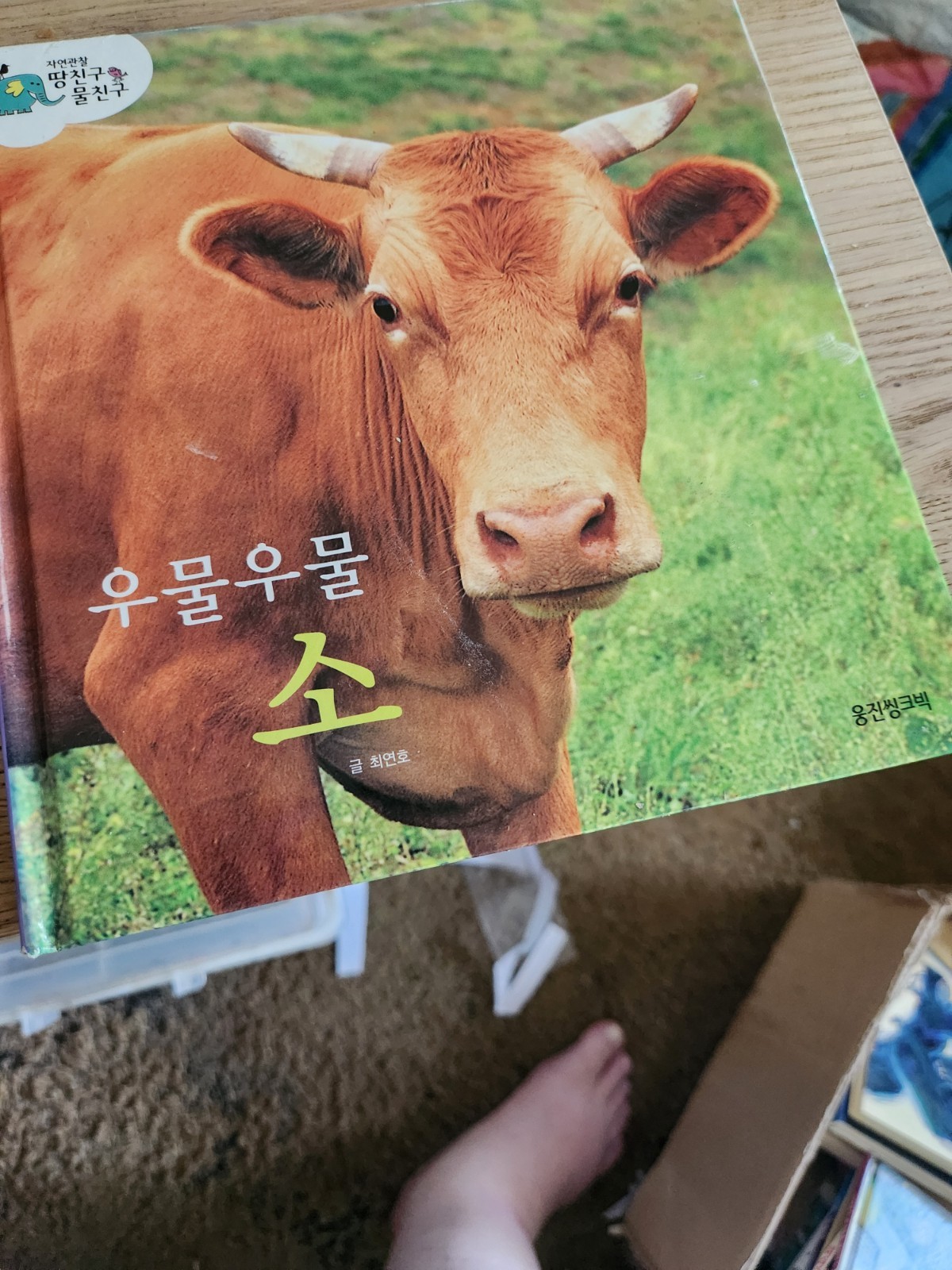 Assorted Korean Children’s Books