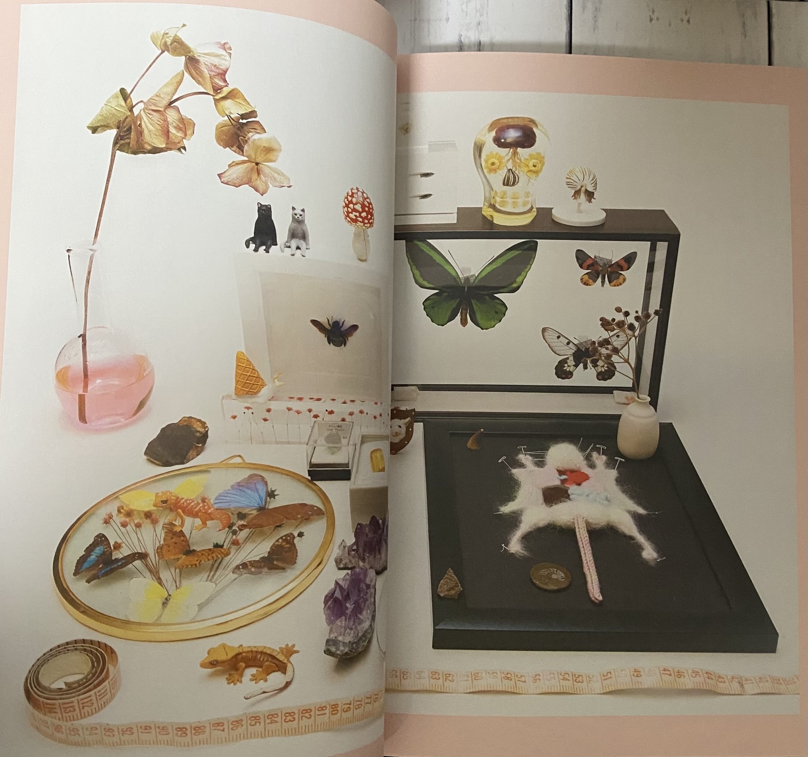 Magical Girl Mizuki Yamamoto Photobook Regular Edition Japan