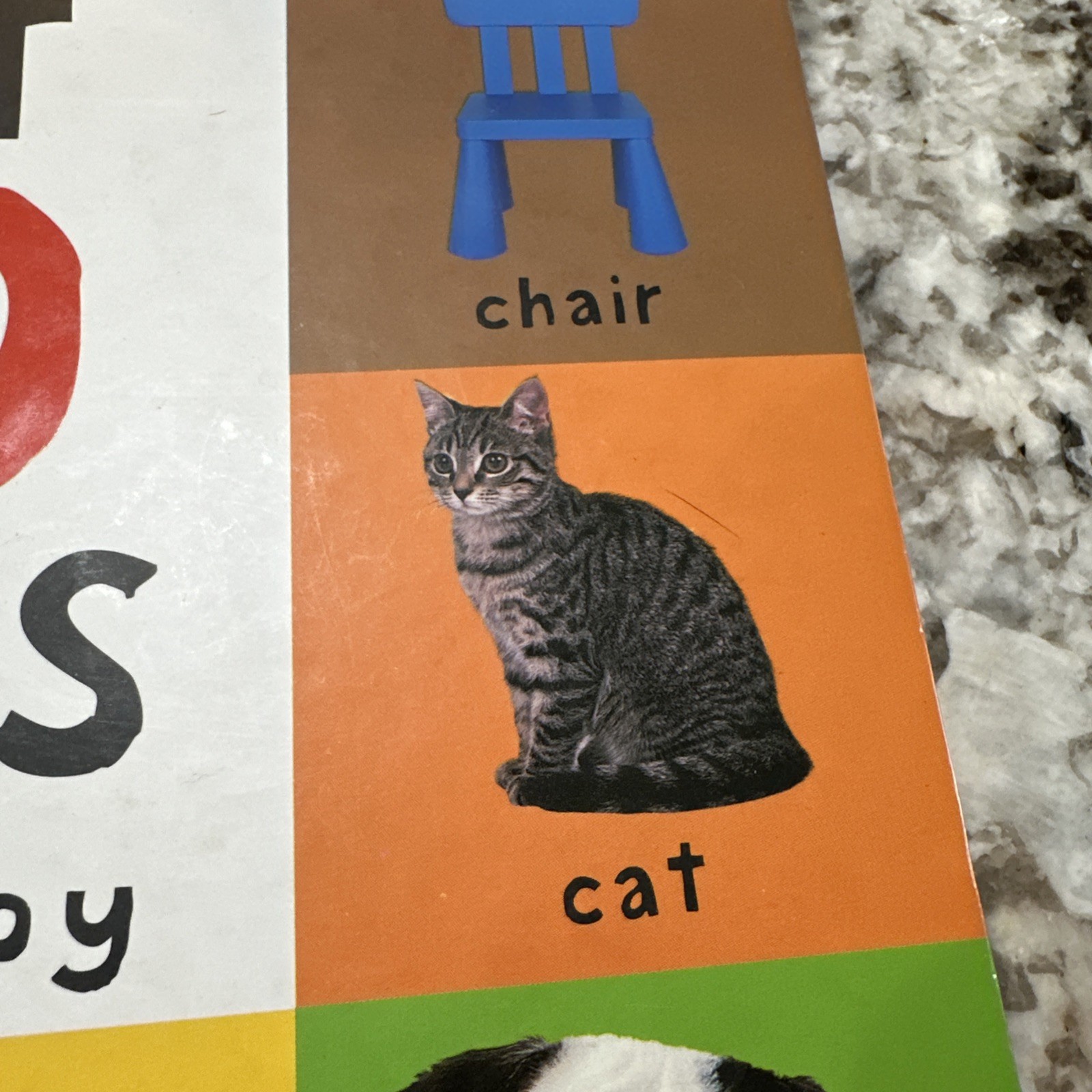 Big Board First 100 Words : An Essential First-Learning Book by Roger Priddy…