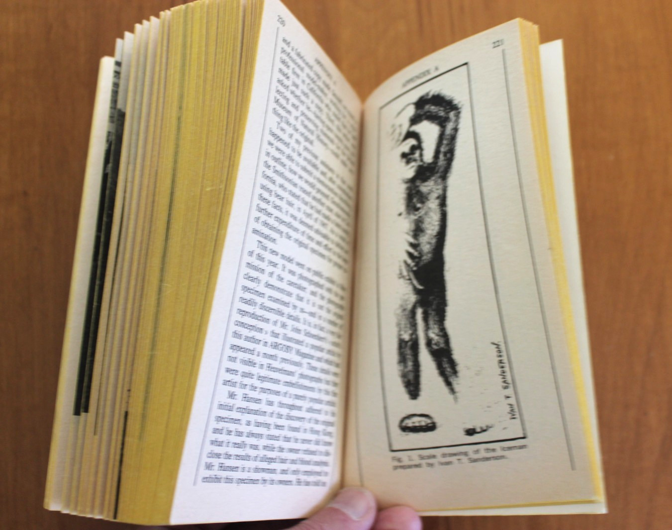 The Search for Bigfoot (Monster, Myth or Man?), Peter Byrne