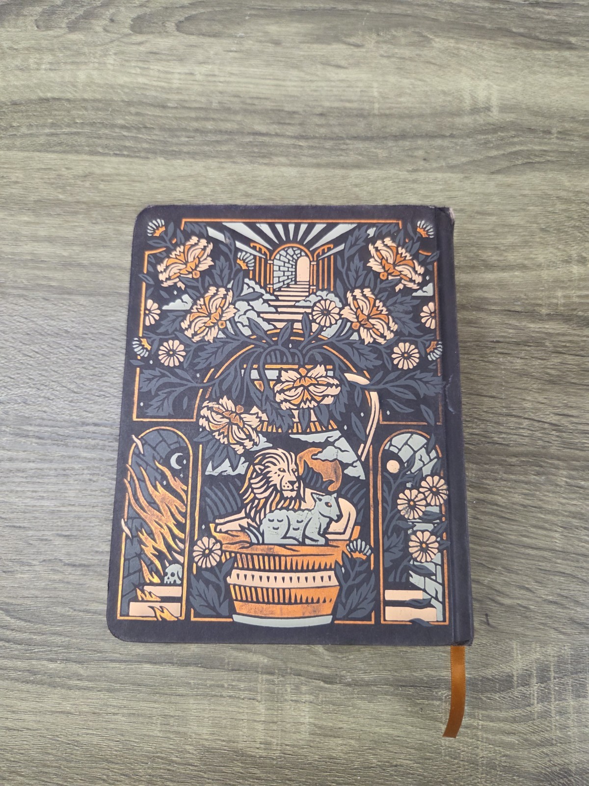 Holy Bible Crossway Decorative Hardcover Illustrated Lion Lamb ESV