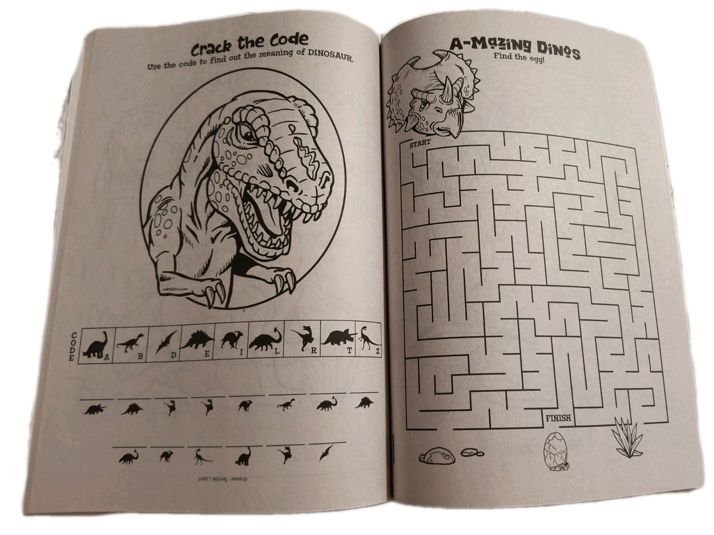 DINO RRAWRR! Dinosaurs Coloring/Activity Book with Tear/Share Pages 🆕🆓 ship!