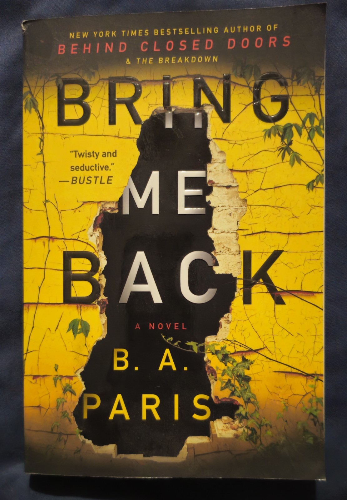 Bring Me Back : A Novel by B. A. Paris (2019, Trade Paperback)