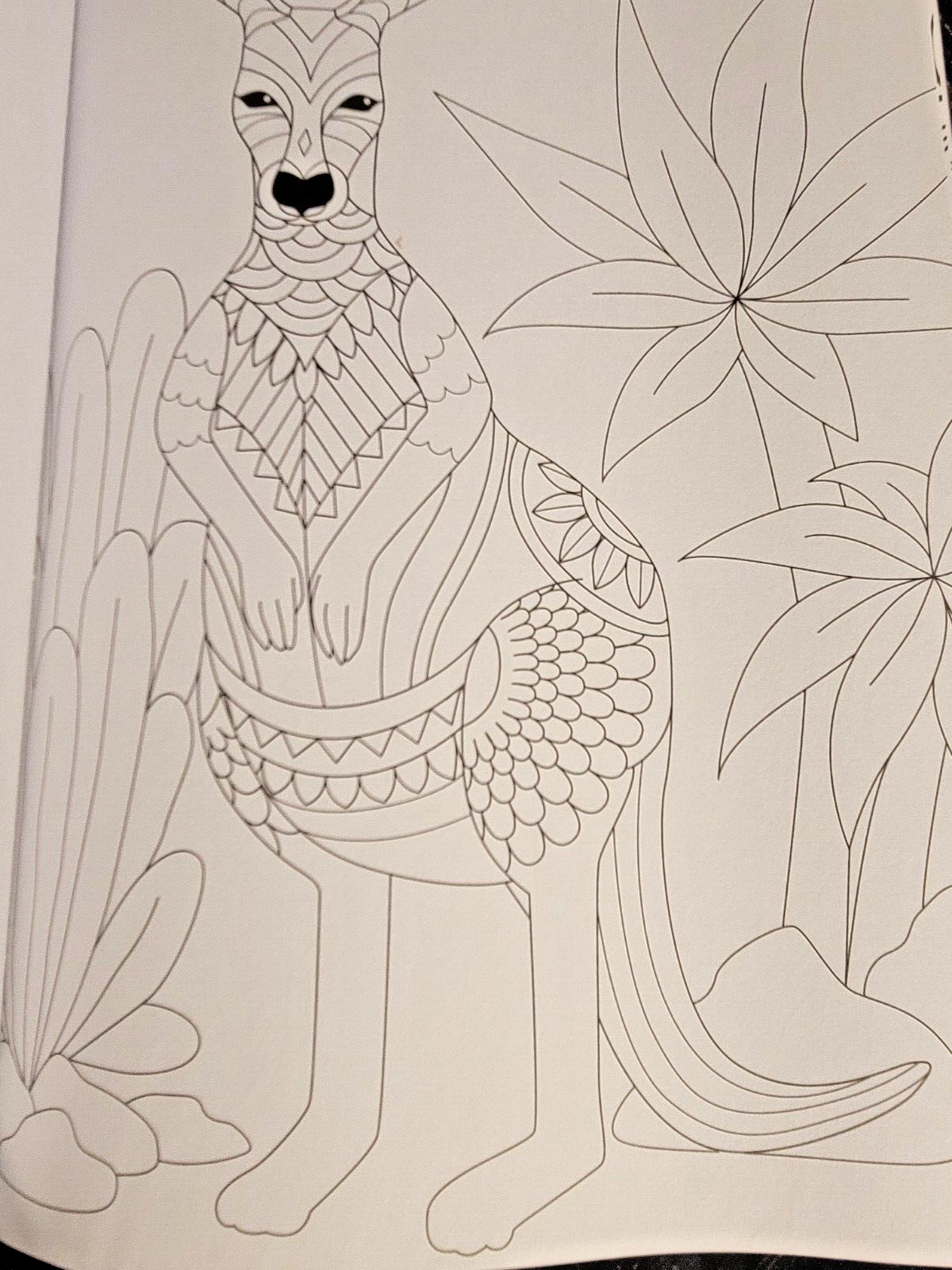 COLORS OF THE WILD! Vol. 16 Adult Coloring Book With 47 Prints Ready To Frame!