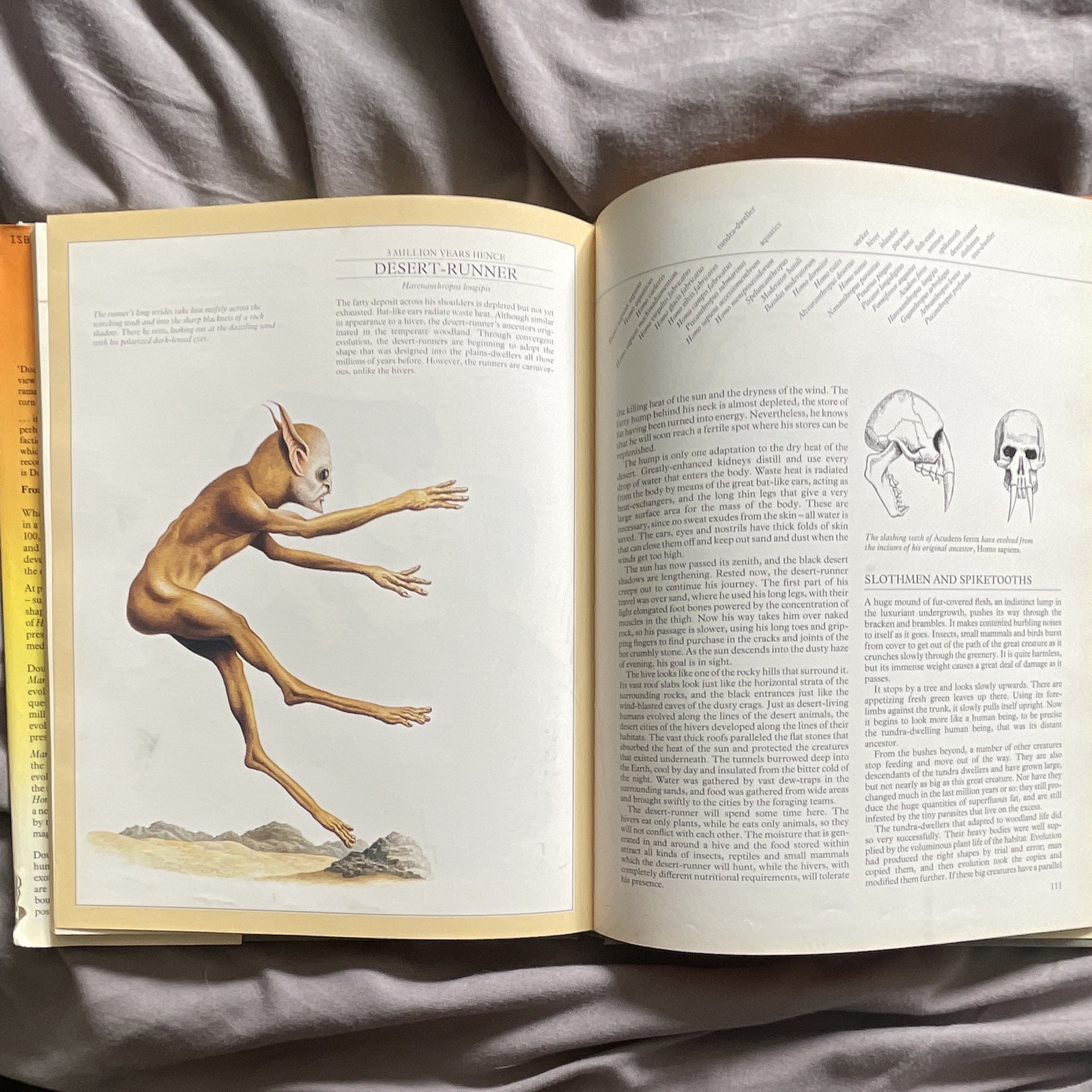 Man After Man:An Anthropology of The Future by Dougal Dixon(First Print) Hardcov