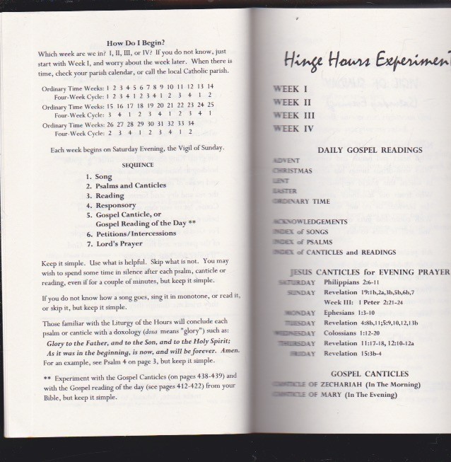 Hinge Hours Experiment: Christian Literature by Stephen Joseph Wolf Paperback LN