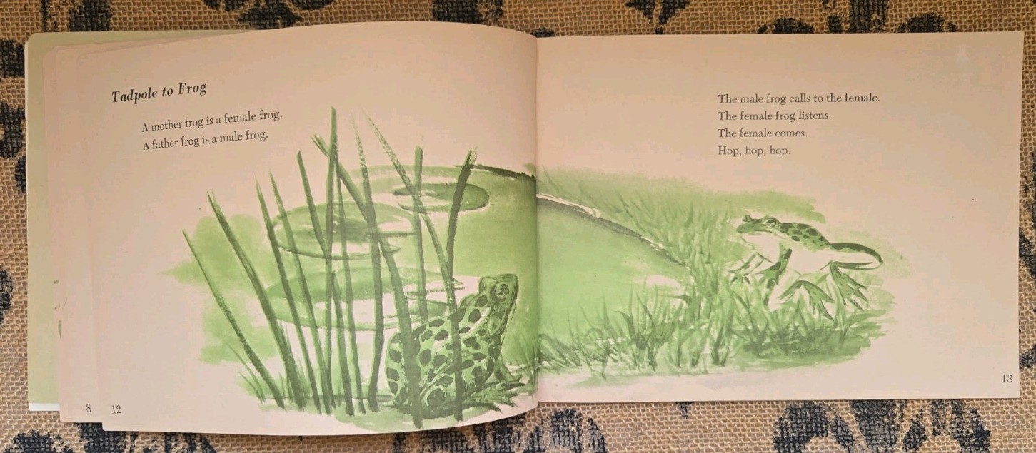 Stories about Frogs Childrens Book Lot Freddie the Frog, Hoppy Long Legs, Gorky