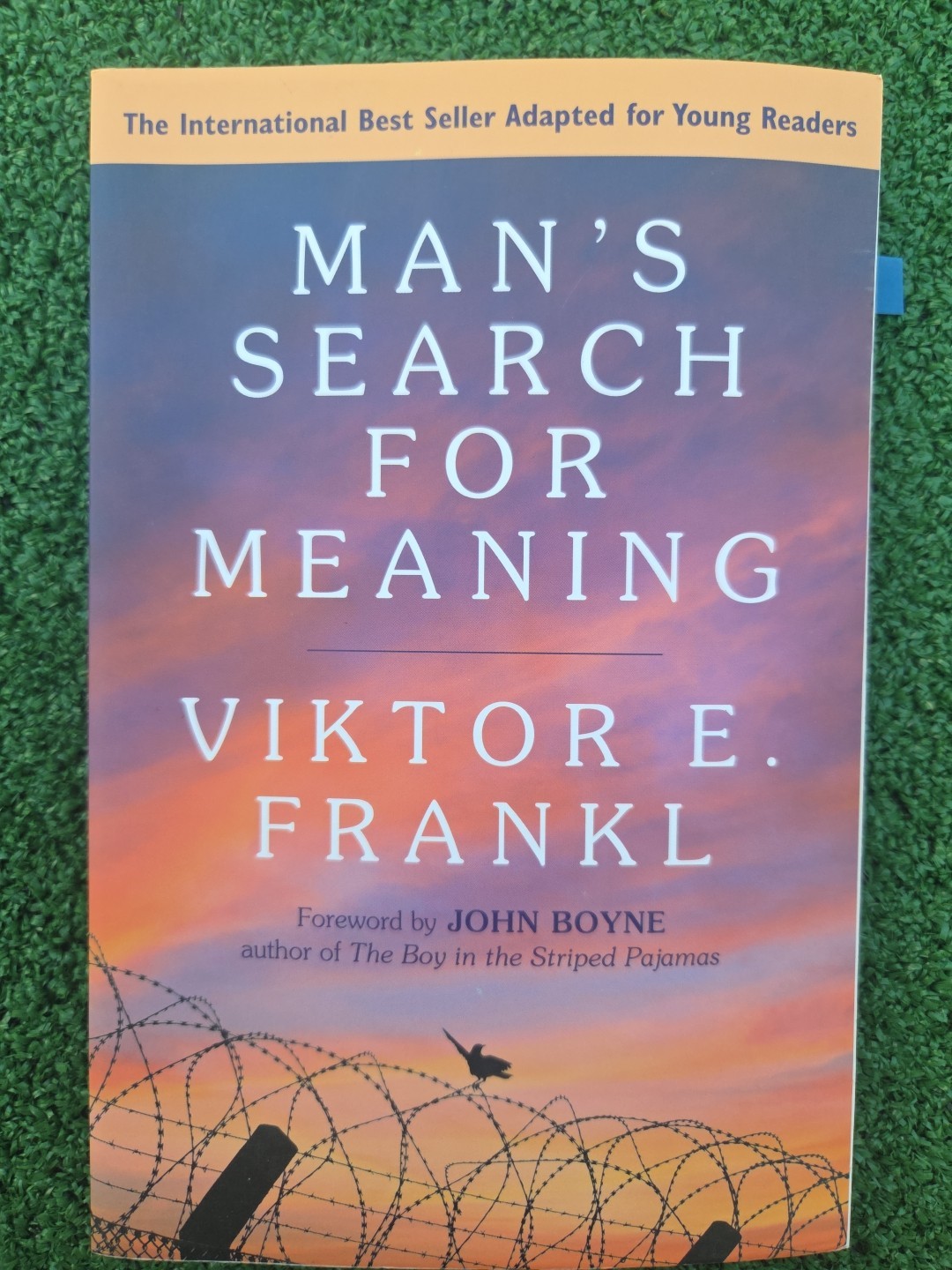 Classic Literature & Wellness Lot: Viktor Frankl, J.D. Salinger, The Outsiders