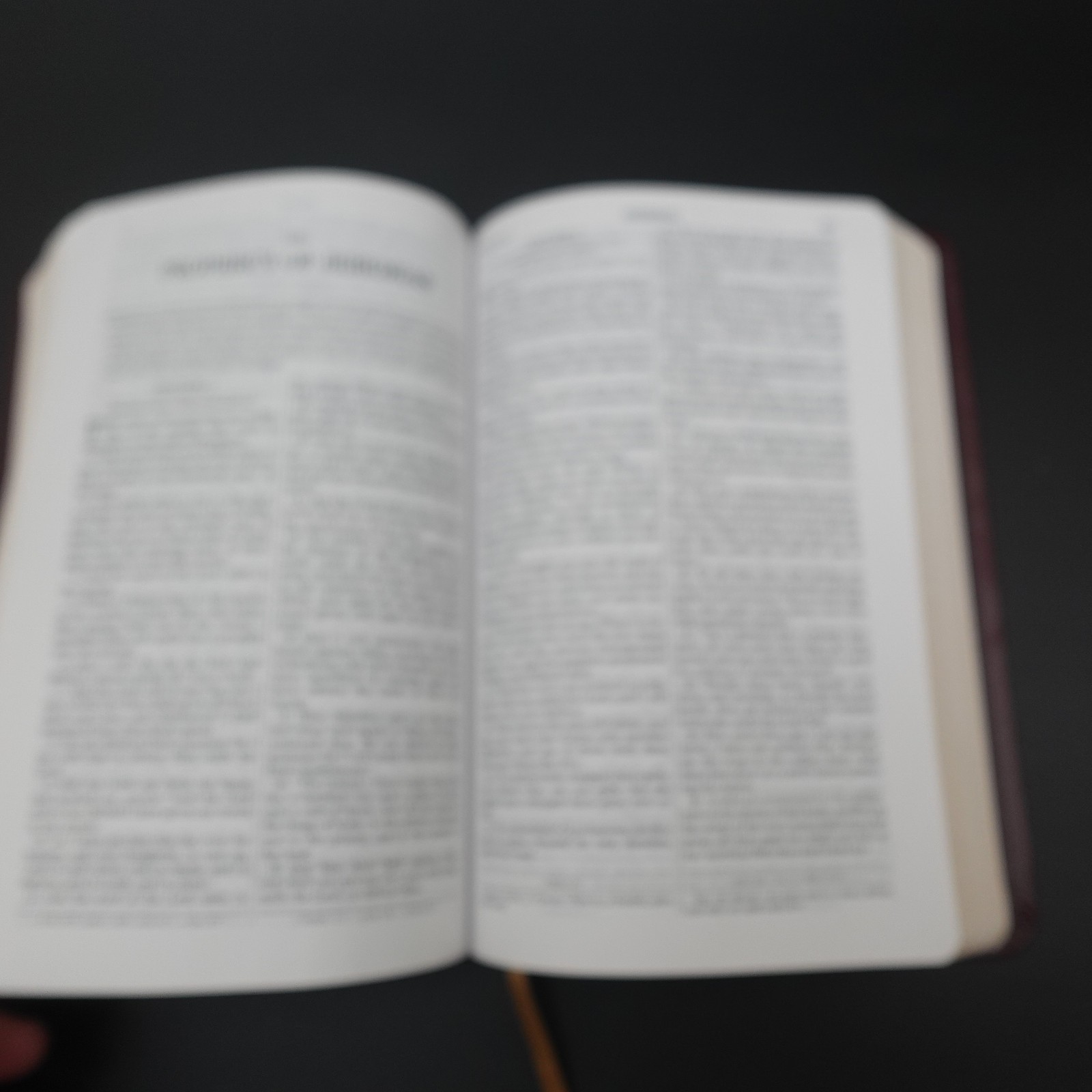 Douay Rheims Bible Burgundy Premium UltraSoft Catholic Bible St Benedict Press