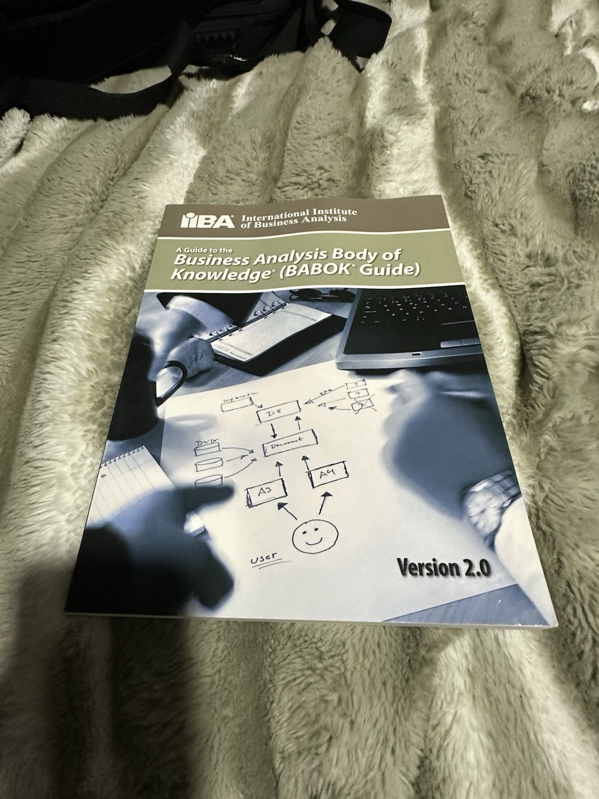 International Institute of Business Analysis BABOK Guide V2.0 2009 Paperback