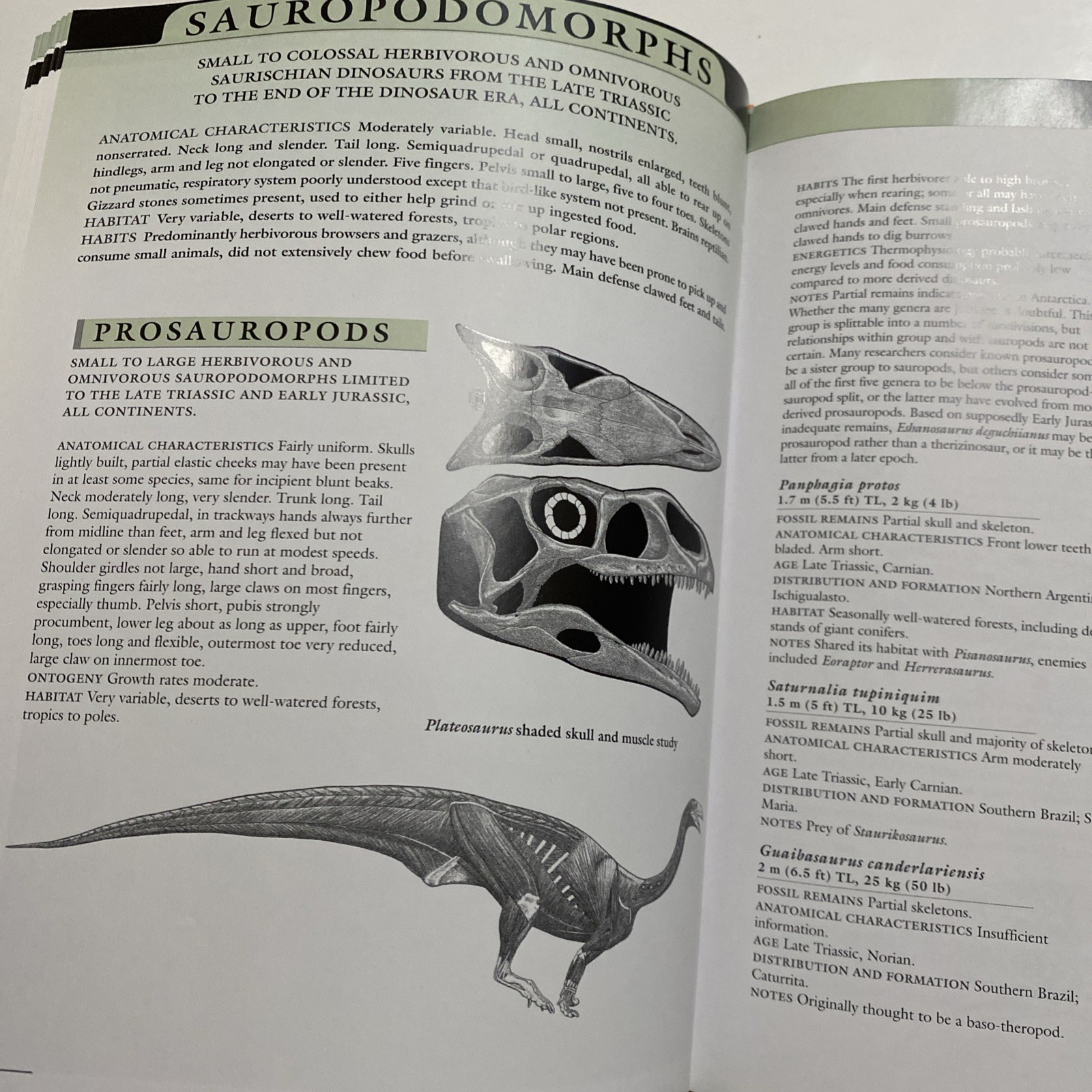 Princeton Field Guide to Dinosaurs Gregory S Paul 2010 1st Printing HC DJ