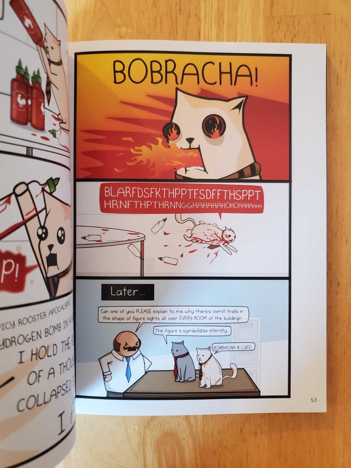 How to Tell If Your Cat Is Plotting to Kill You With Poster The Oatmeal 2012