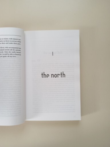 Lonely Planet Journeys Ser.: The Age of Kali : Indian Travels and Encounters by