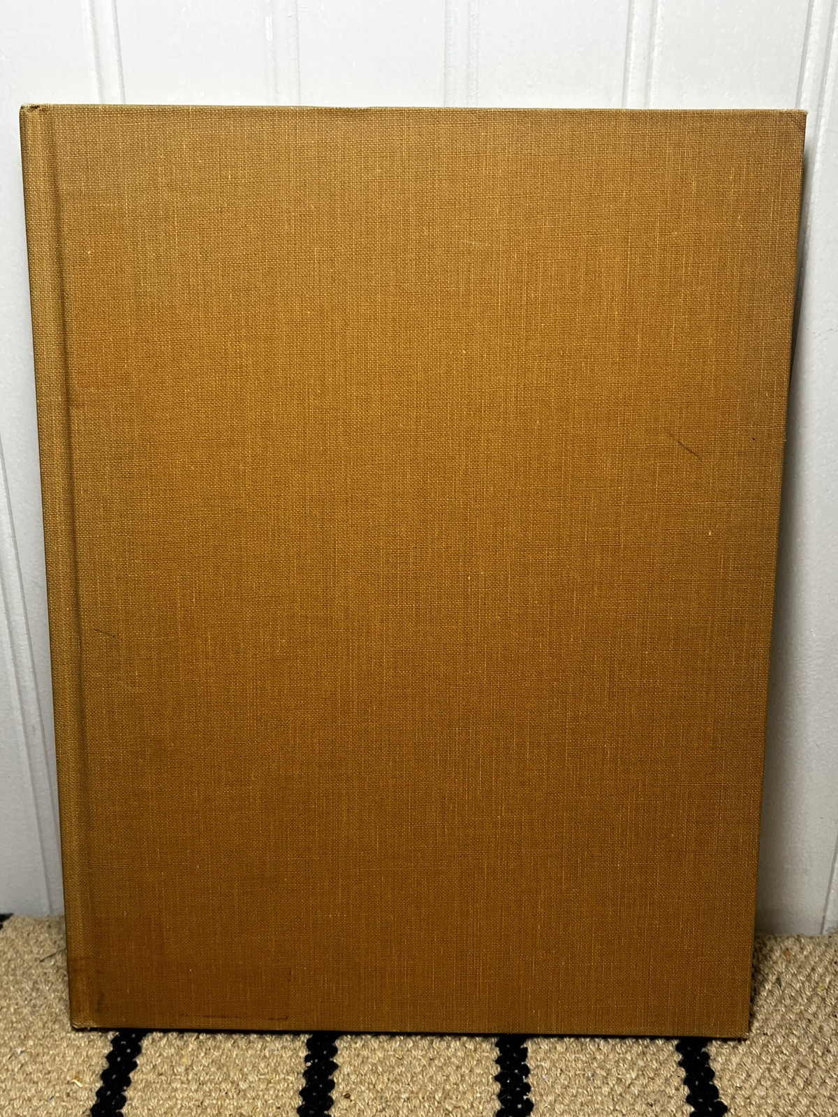 Animal Camouflage, Dorothy Shuttlesworth, illustrated by Matthew Kalmenoff HB XL