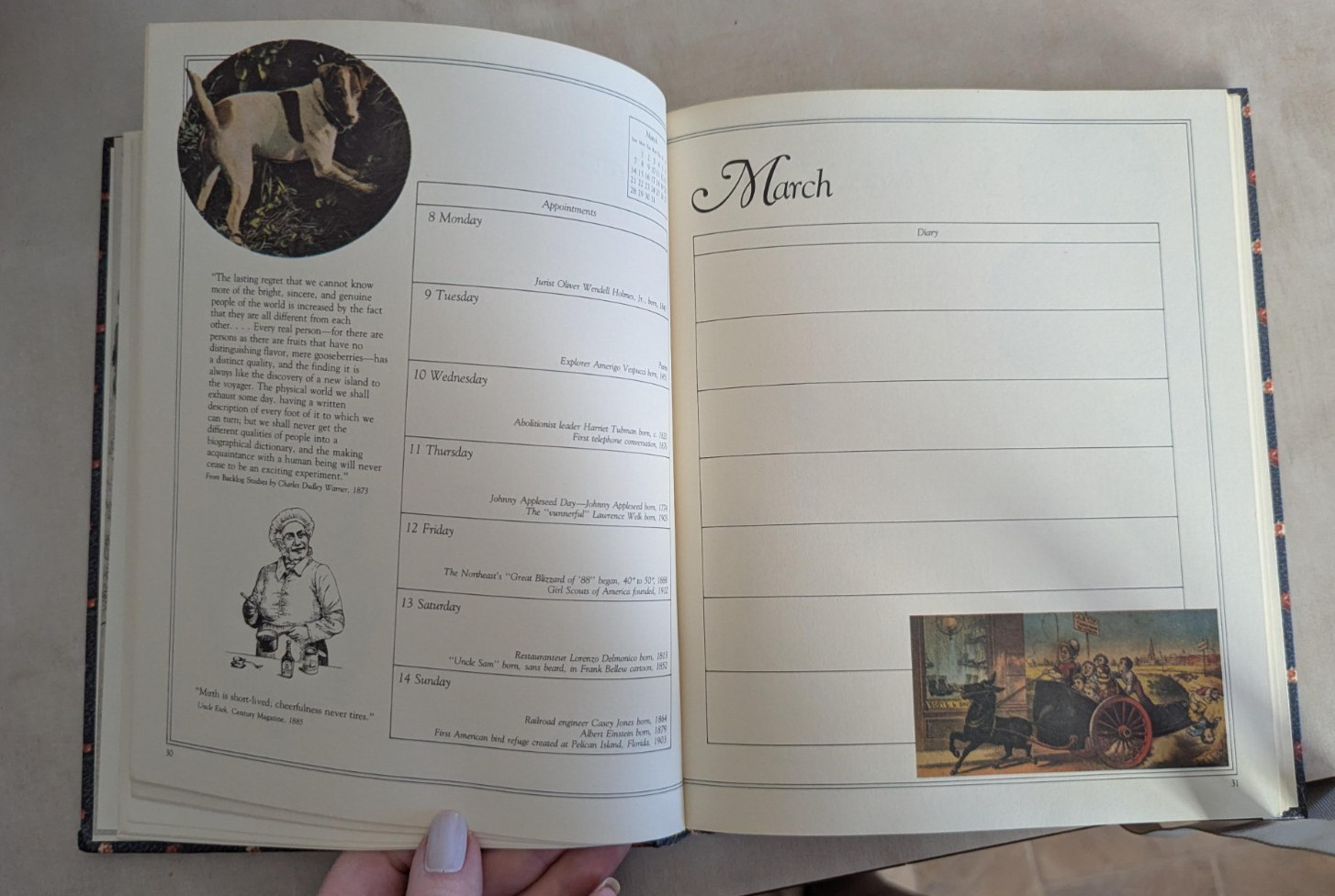 Our Old Fashioned Country Diary for 1982 (An Old Fashioned Keepbook)