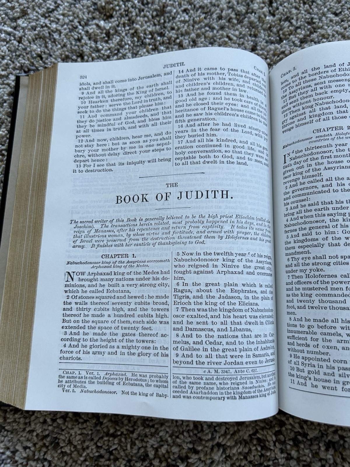 The Holy Bible Douay Rheims Version Catholic 1989 Orthodox Hardcover Black F26