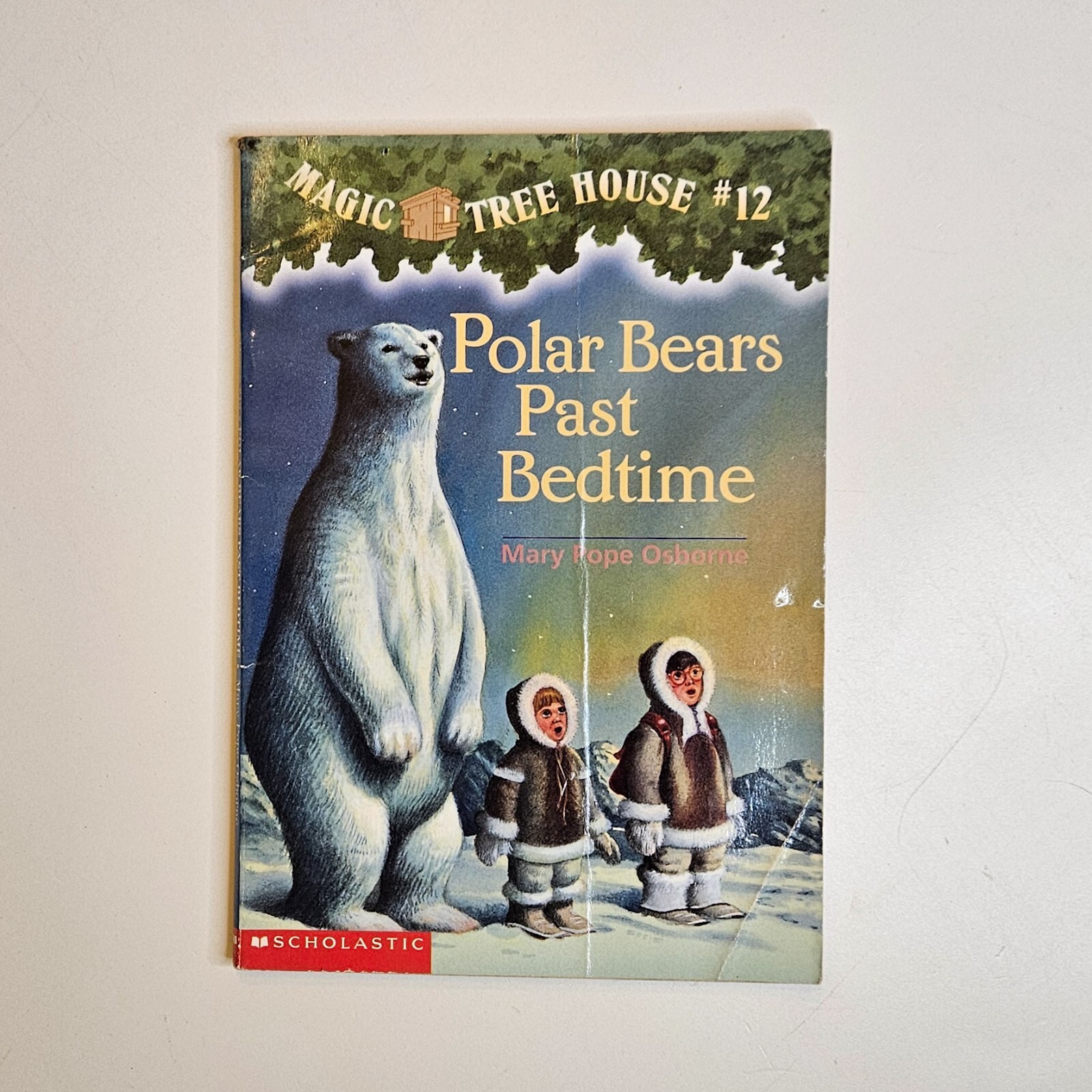 Lot 9 Magic Tree House Books #1 #6 #12 #13 #34 Research Guide Merlin Missions