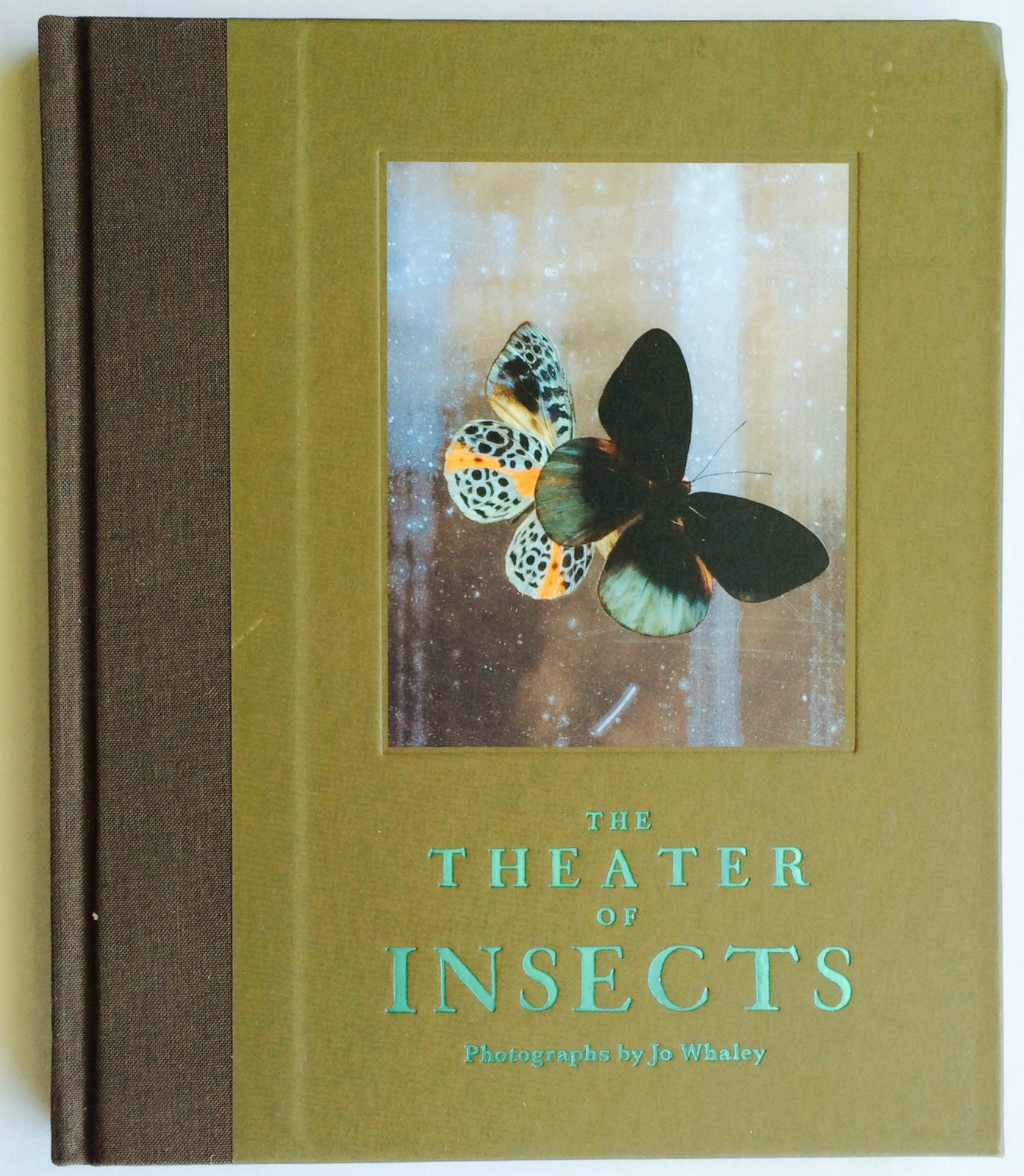 2008 THEATER of INSECTS Jo Whaley hb/128pp/ART – BUTTERFLIES – INSECTS – UNIQUE