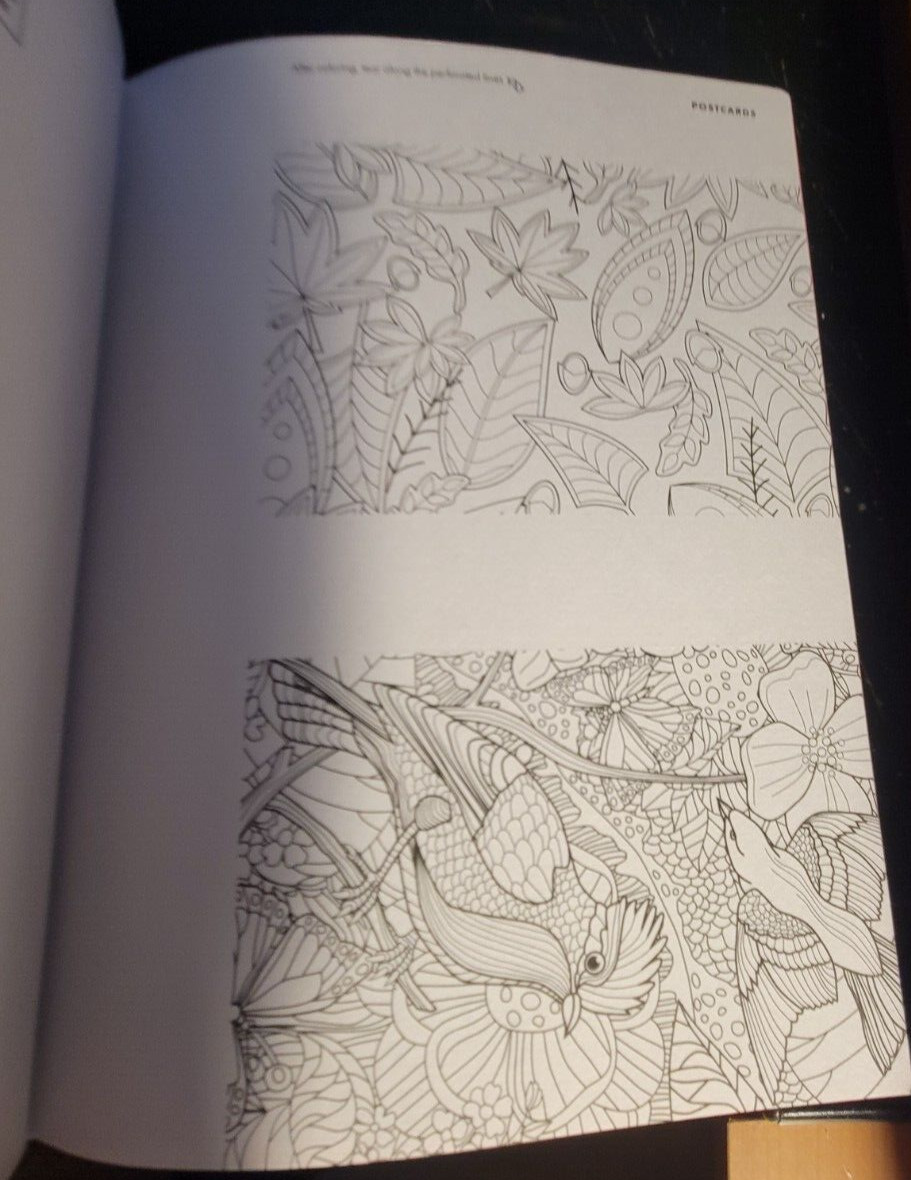 COLOR YOUR OWN GREETING CARDS Create 28 Fun & Festive Cards – Children & Adult