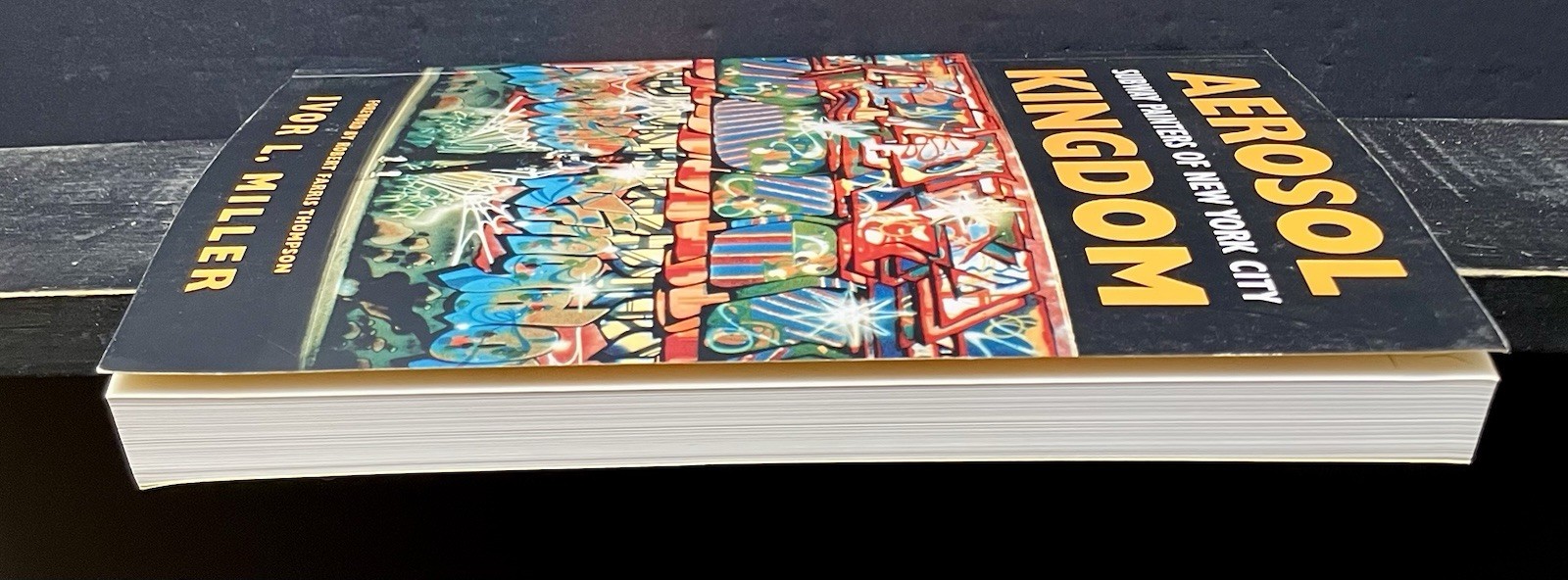 Aerosol Kingdom Subway Painters New York City by Miller 2002 Sftcvr Like New B4