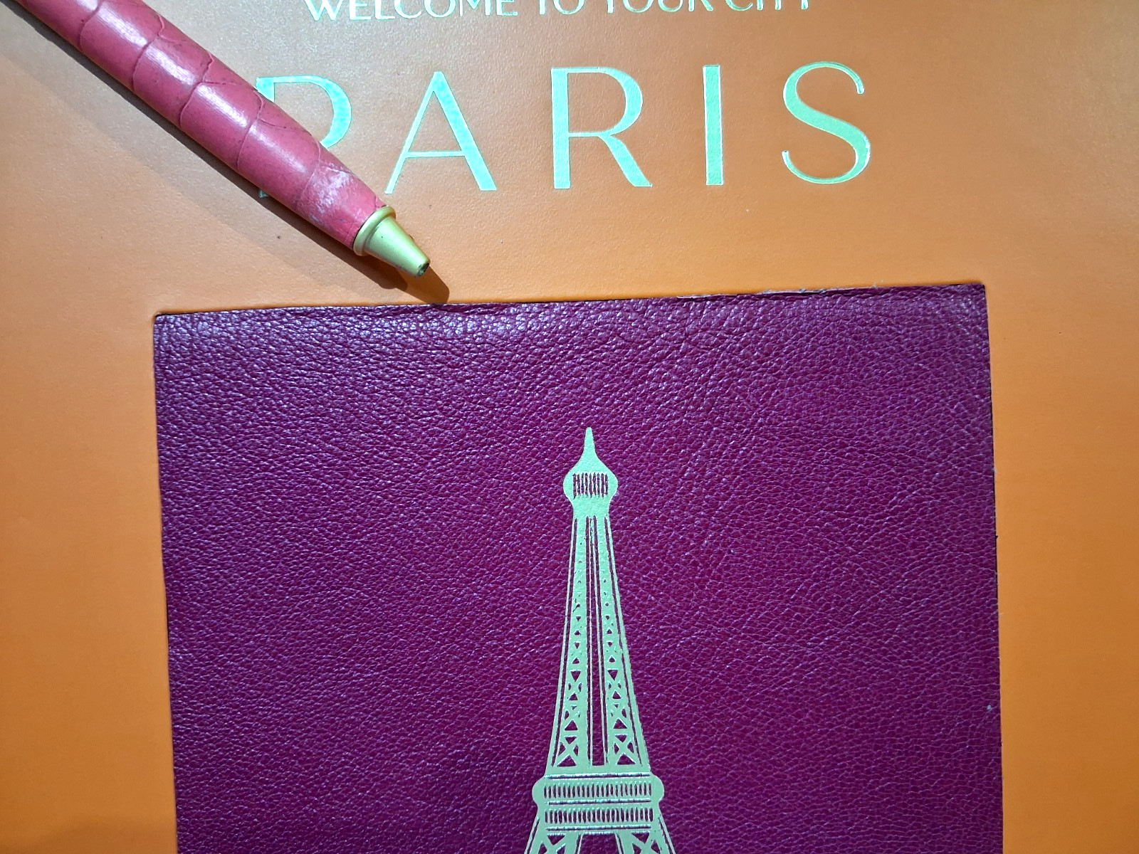 Trope PARIS Scott Yanzy Photography Leather Bound Hard Cover $195 Coffee Table