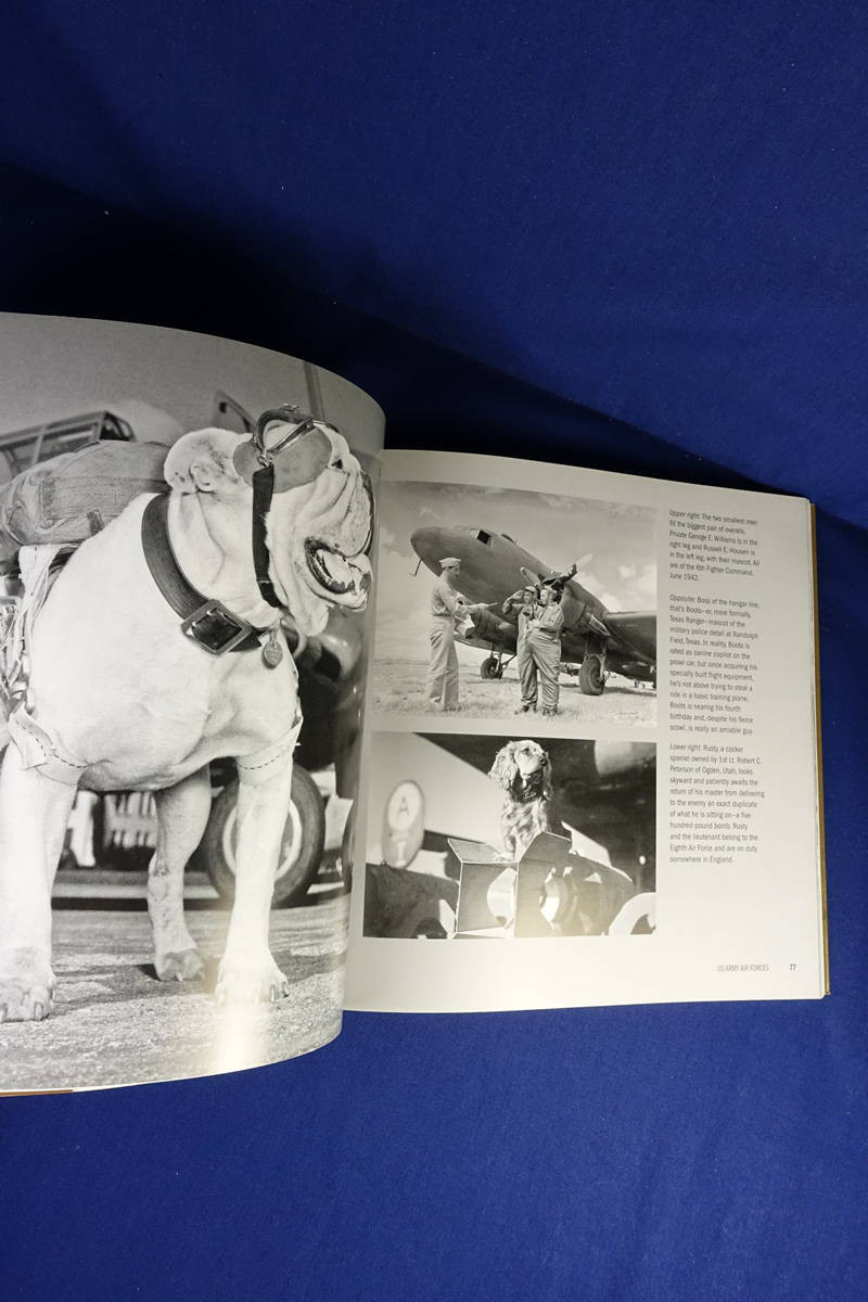BUDDIES L Douglas Keeney WWII DOG PHOTO BOOK Heartwarming Photos GIs & Dogs WW2