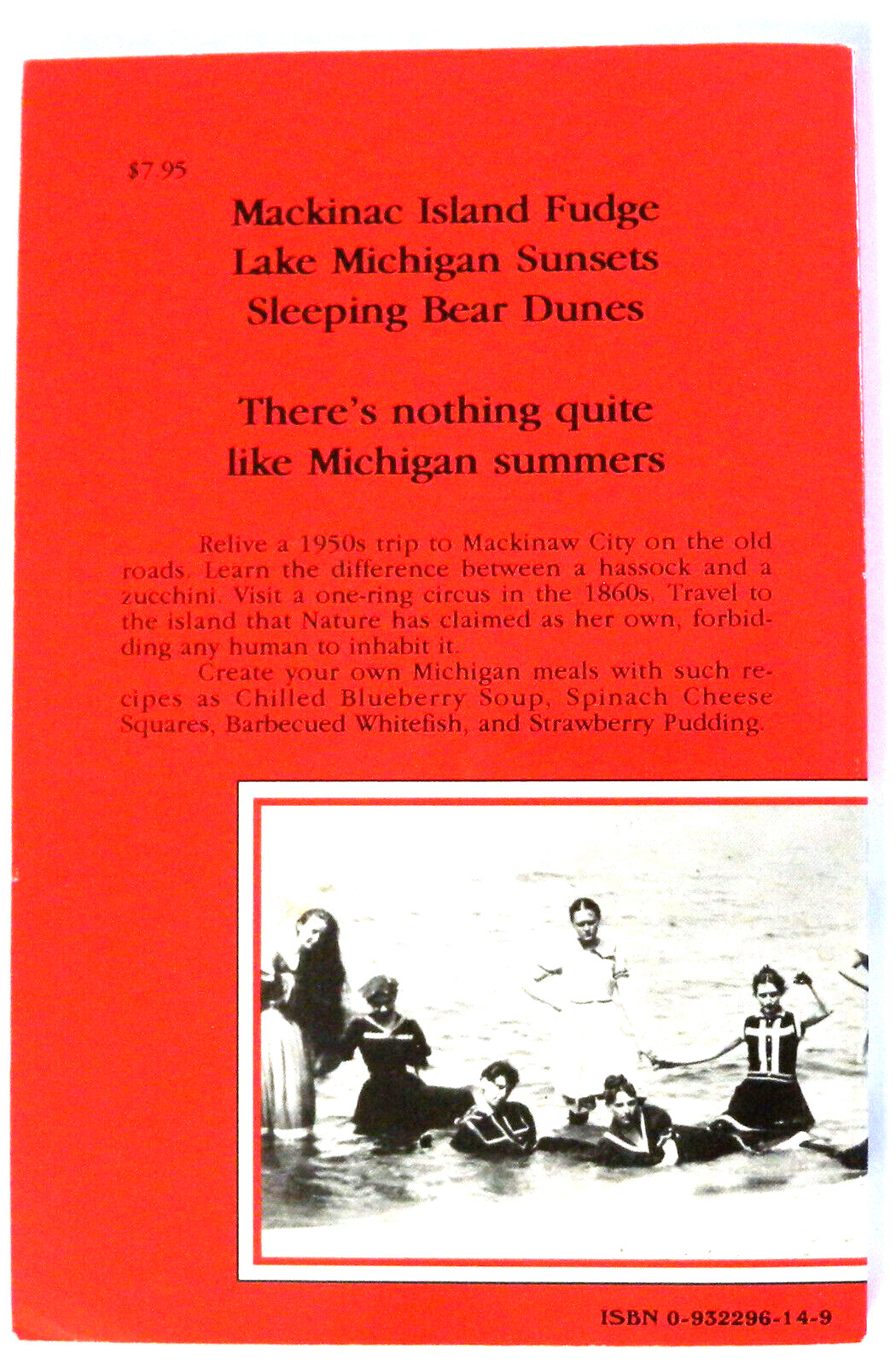 Michigan Summers : Tales and Recipes by Carole Eberly (1990, Trade Paperback)
